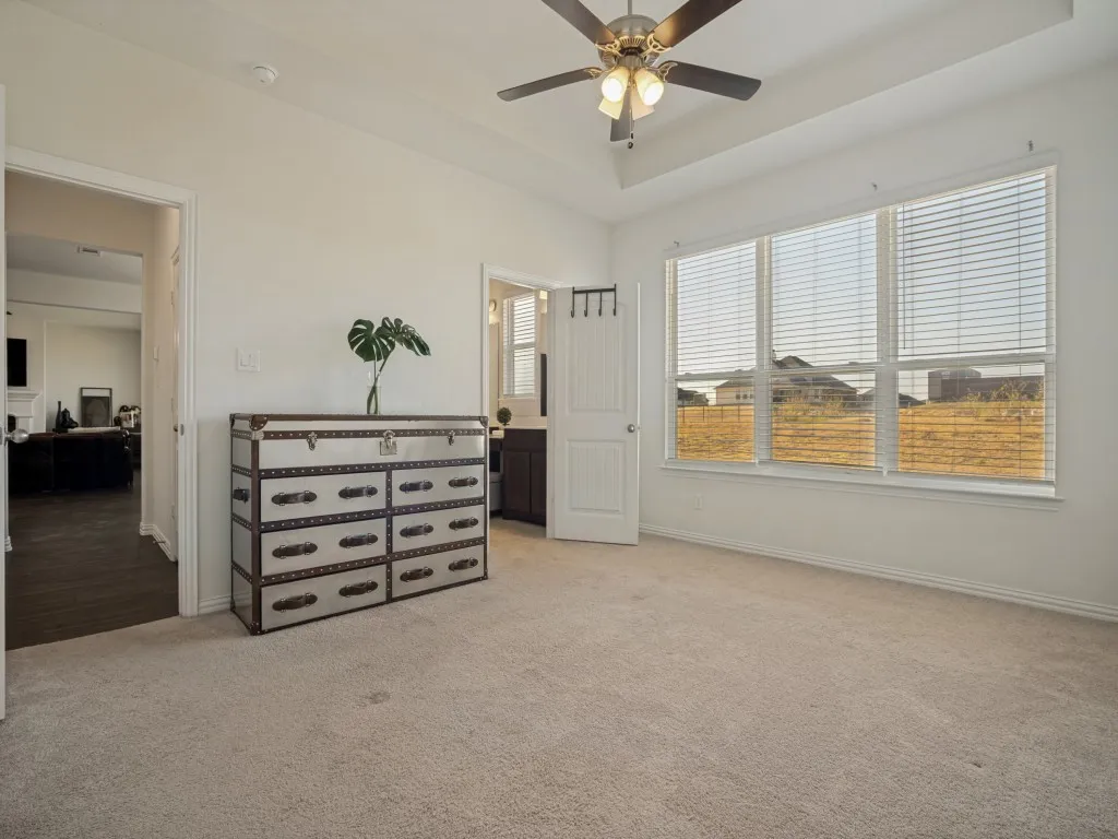 Tray ceiling, ceiling fan with light fixture, large windows with blinds, light-toned carpet flooring, white painted walls