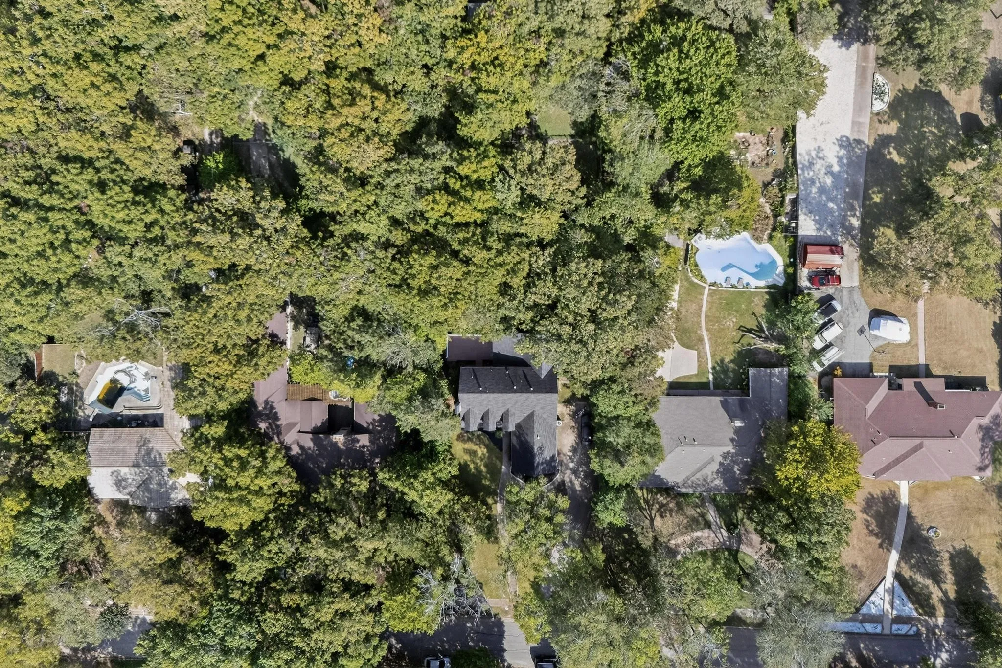 entire neighborhood heavily wooded and private