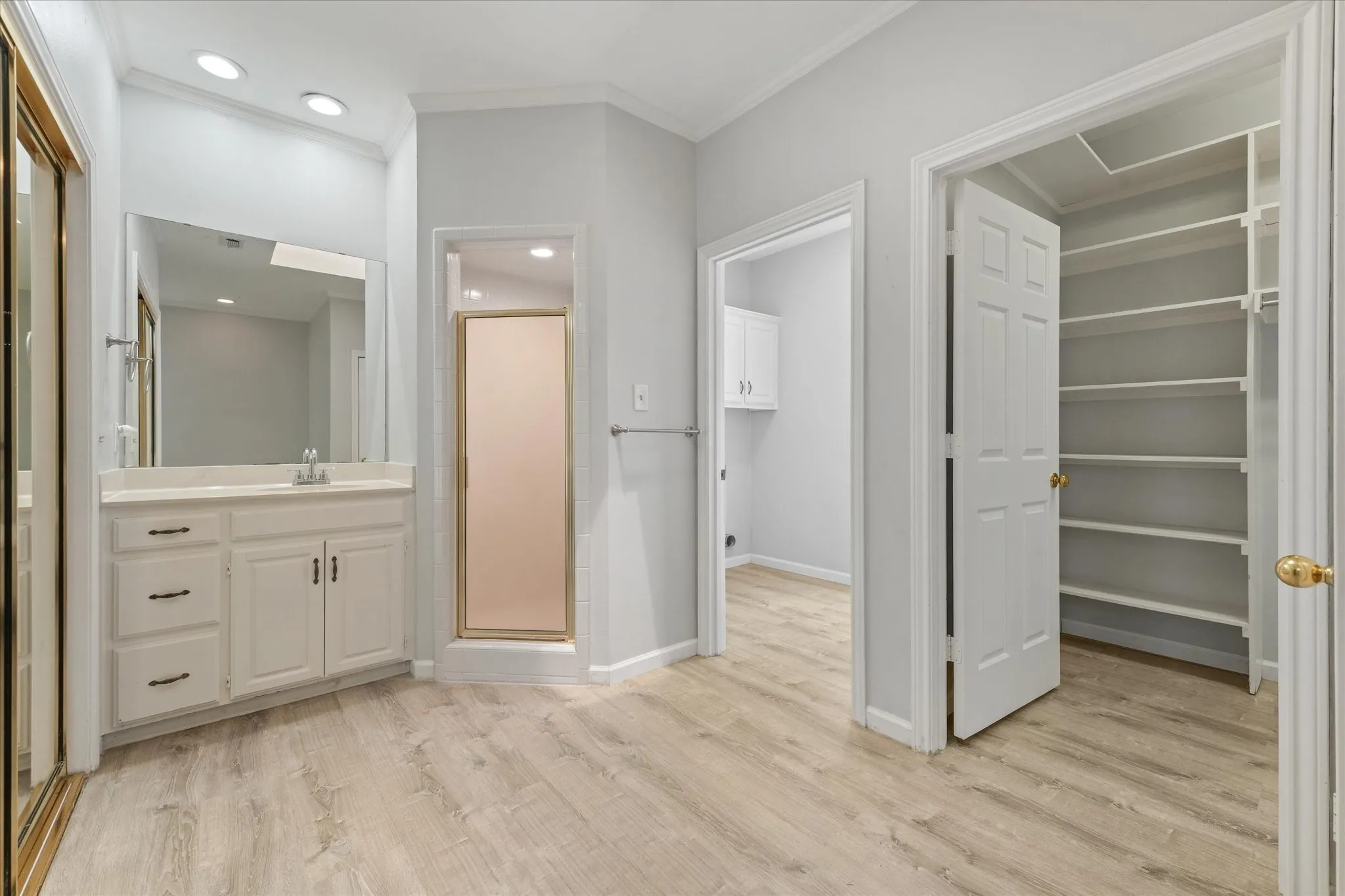 Primary bath featuring walk-in shower, separate vanity area, abundant storage, and large walk-in closet access.