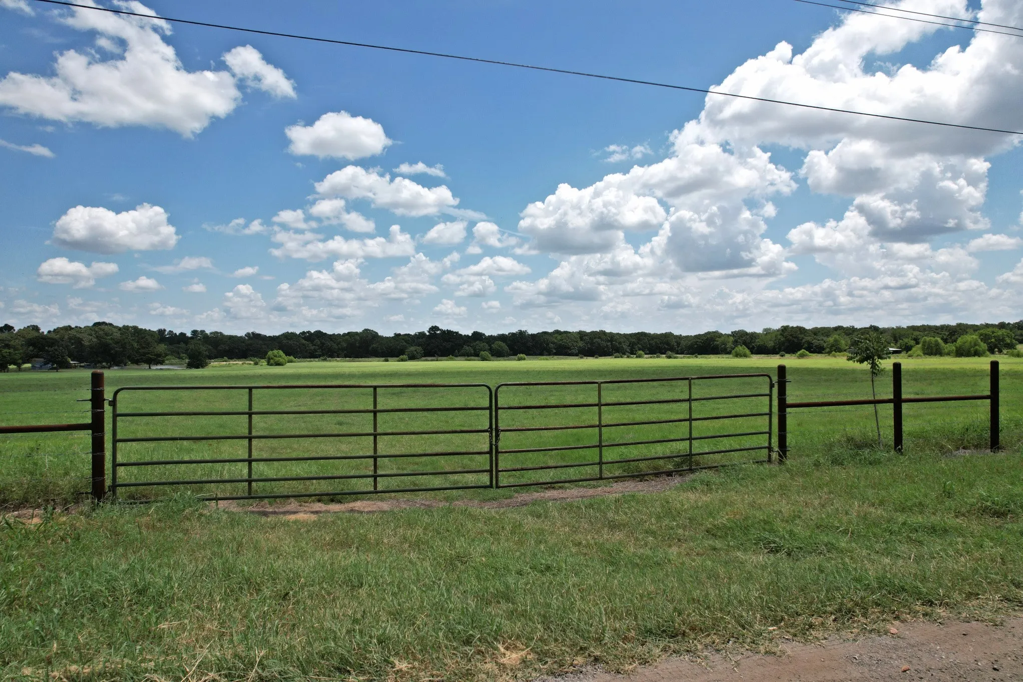 Unimproved Land For Sale in Van Zandt County , Lot 3 VZ County Road 3208, Wills Point, Texas 75169, 0, 0, Garage spaces, 0 Sqft, built in 0, mls#21383248, Real Estate Agent in Wills Point, Homes For Sale in Van Zandt county, Homes For Sale in Wills Point, Realtor in Wills Point Texas, Real Estate Brokerage Independent Realty Texas, Luminita Cordes Realtor