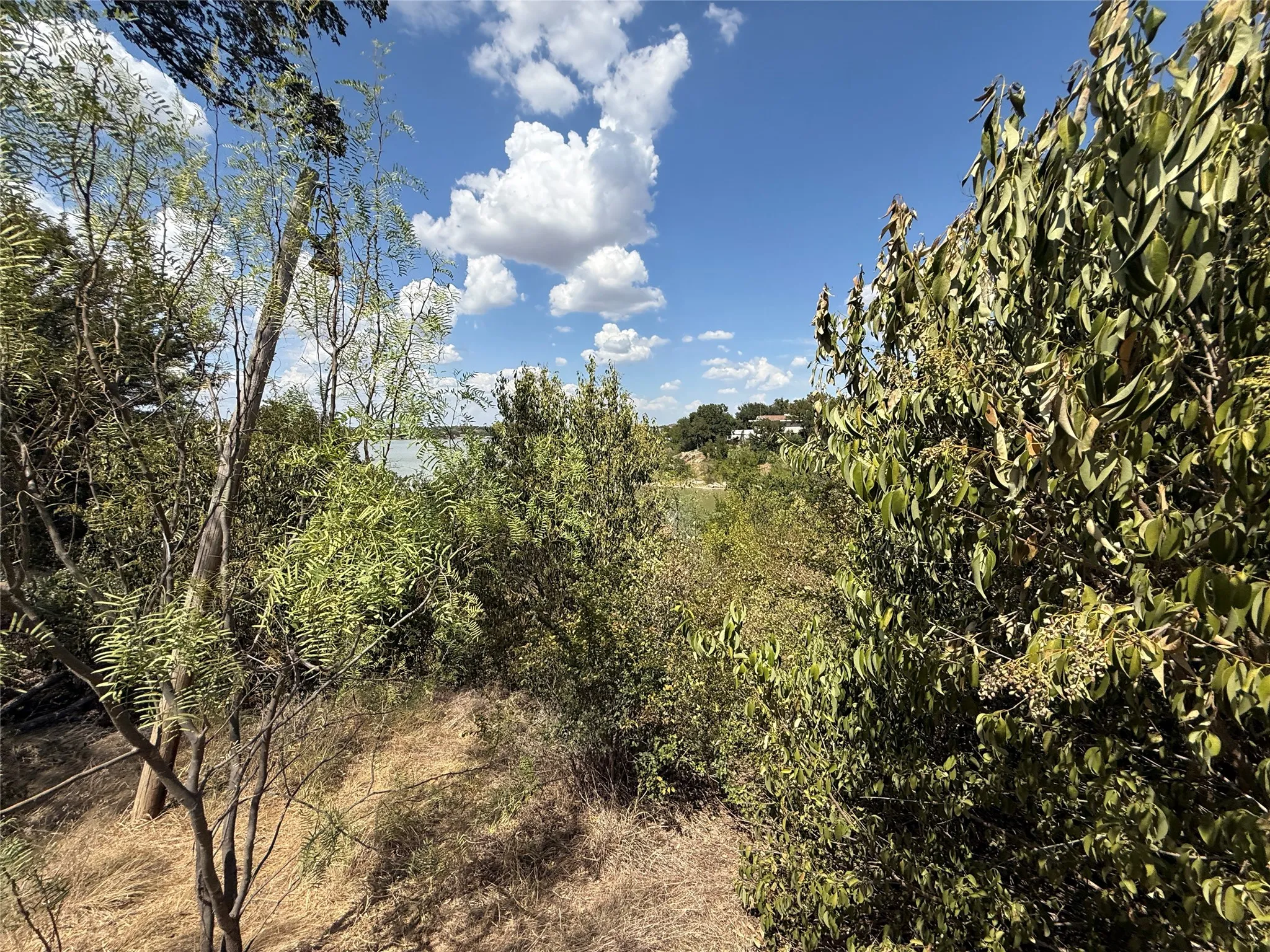 Unimproved Land For Sale in Brown County , 7050 Tipperary Drive, Brownwood, Texas 76801, 0, 0, Garage spaces, 0 Sqft, built in 0, mls#21382275, Real Estate Agent in Brownwood, Homes For Sale in Brown county, Homes For Sale in Brownwood, Realtor in Brownwood Texas, Real Estate Brokerage Independent Realty Texas, Luminita Cordes Realtor