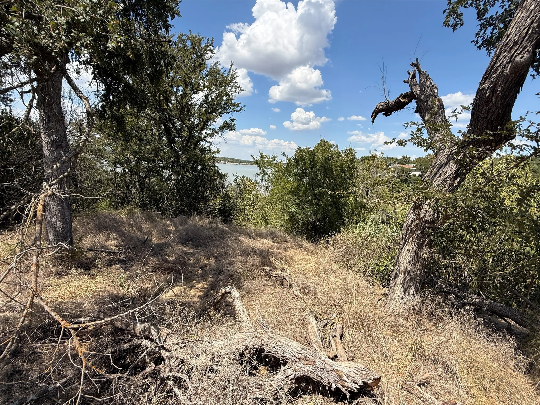 Unimproved Land For Sale in Brown County , 7050 Tipperary Drive, Brownwood, Texas 76801, 0, 0, Garage spaces, 0 Sqft, built in 0, mls#21382275, Real Estate Agent in Brownwood, Homes For Sale in Brown county, Homes For Sale in Brownwood, Realtor in Brownwood Texas, Real Estate Brokerage Independent Realty Texas, Luminita Cordes Realtor