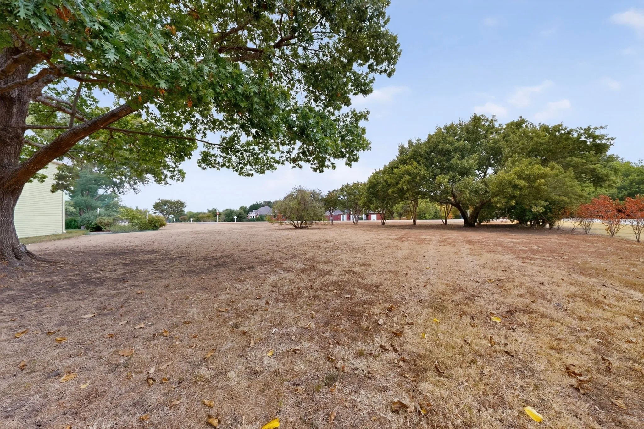 Expansive open land featuring mature trees and established perimeter shrubbery