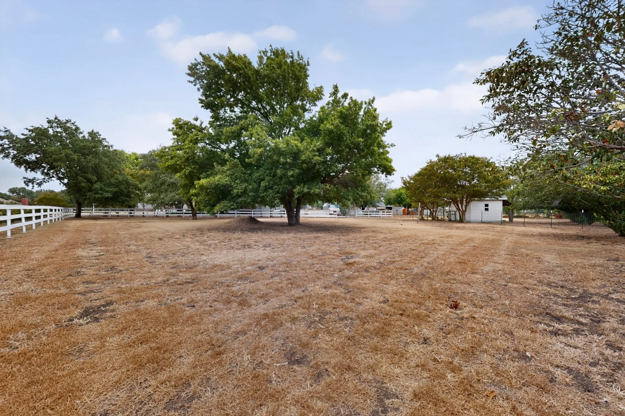 Expansive open land with mature trees and a white post-and-rail fence