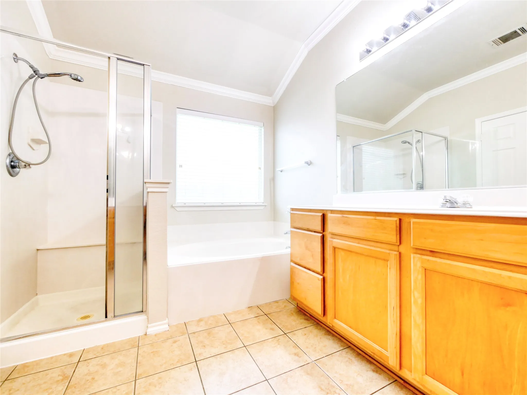 Primary bath stand alone shower
