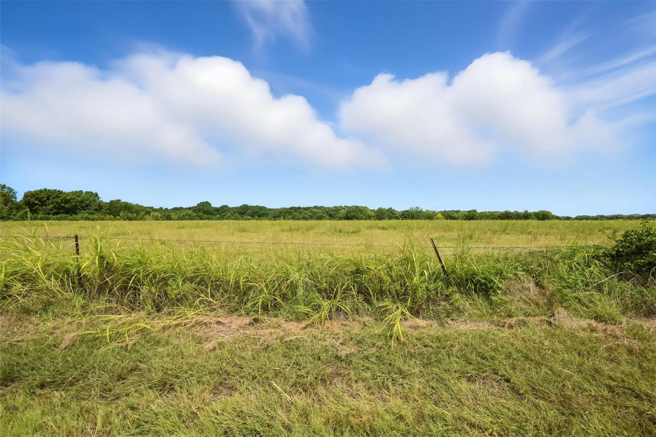 Unimproved Land For Sale in Collin County , 000 County Road 487, Nevada, Texas 75173, 0, 0, Garage spaces, 0 Sqft, built in 0, mls#21383299, Real Estate Agent in Nevada, Homes For Sale in Collin county, Homes For Sale in Nevada, Realtor in Nevada Texas, Real Estate Brokerage Independent Realty Texas, Luminita Cordes Realtor
