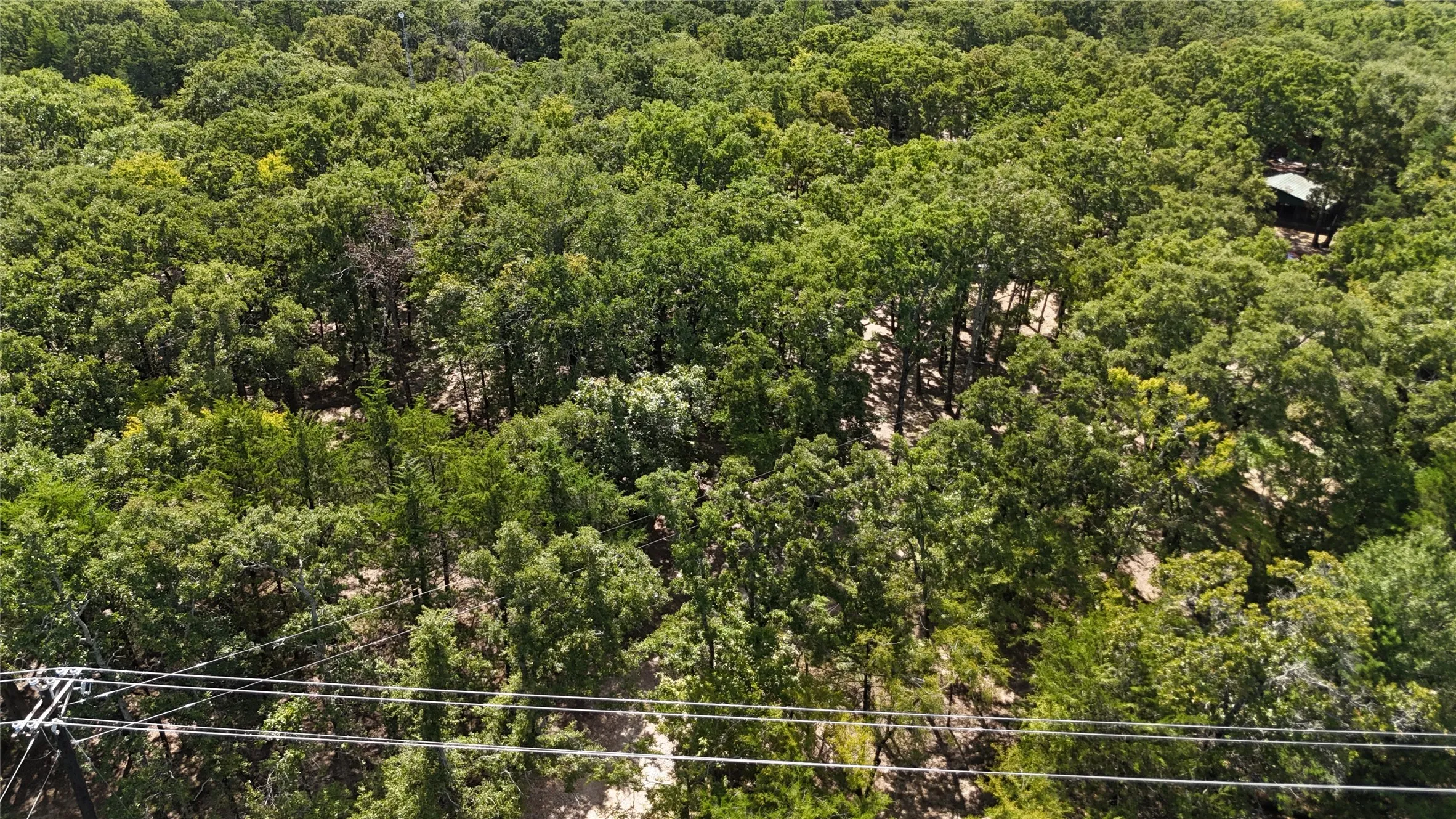 Single Family Residence For Sale in Hunt County , 9972 County Road 2434, Terrell, Texas 75160, 3 Bedroom, 2 Bathroom, Garage spaces, 1,920 Sqft, built in 1989, mls#21382595, Real Estate Agent in Terrell, Homes For Sale in Hunt county, Homes For Sale in Terrell, Realtor in Terrell Texas, Real Estate Brokerage Independent Realty Texas, Luminita Cordes Realtor