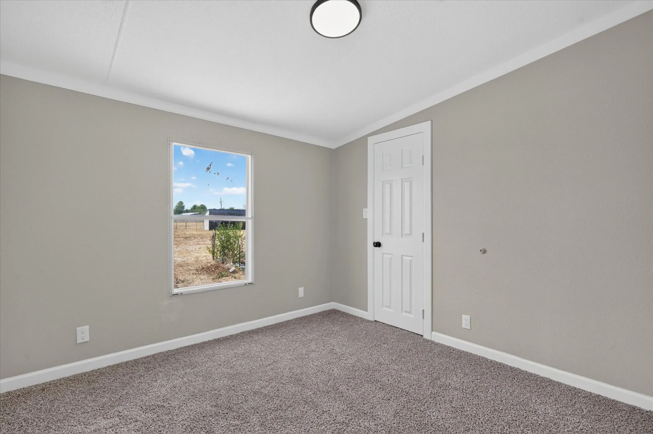 Carpeted flooring with light gray walls and white trim