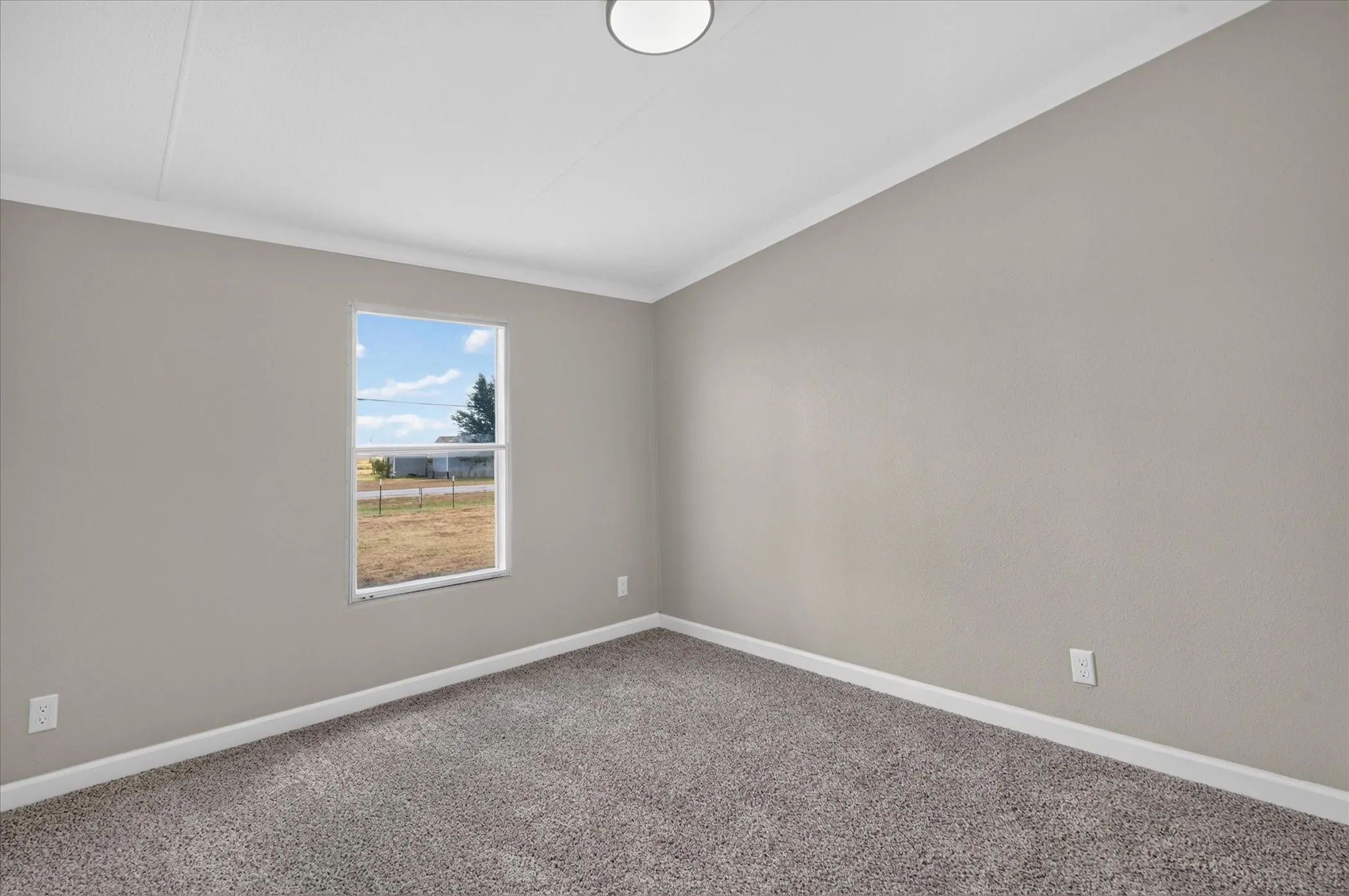Carpeted flooring, neutral wall color, white trim, and a window with outdoor scenery