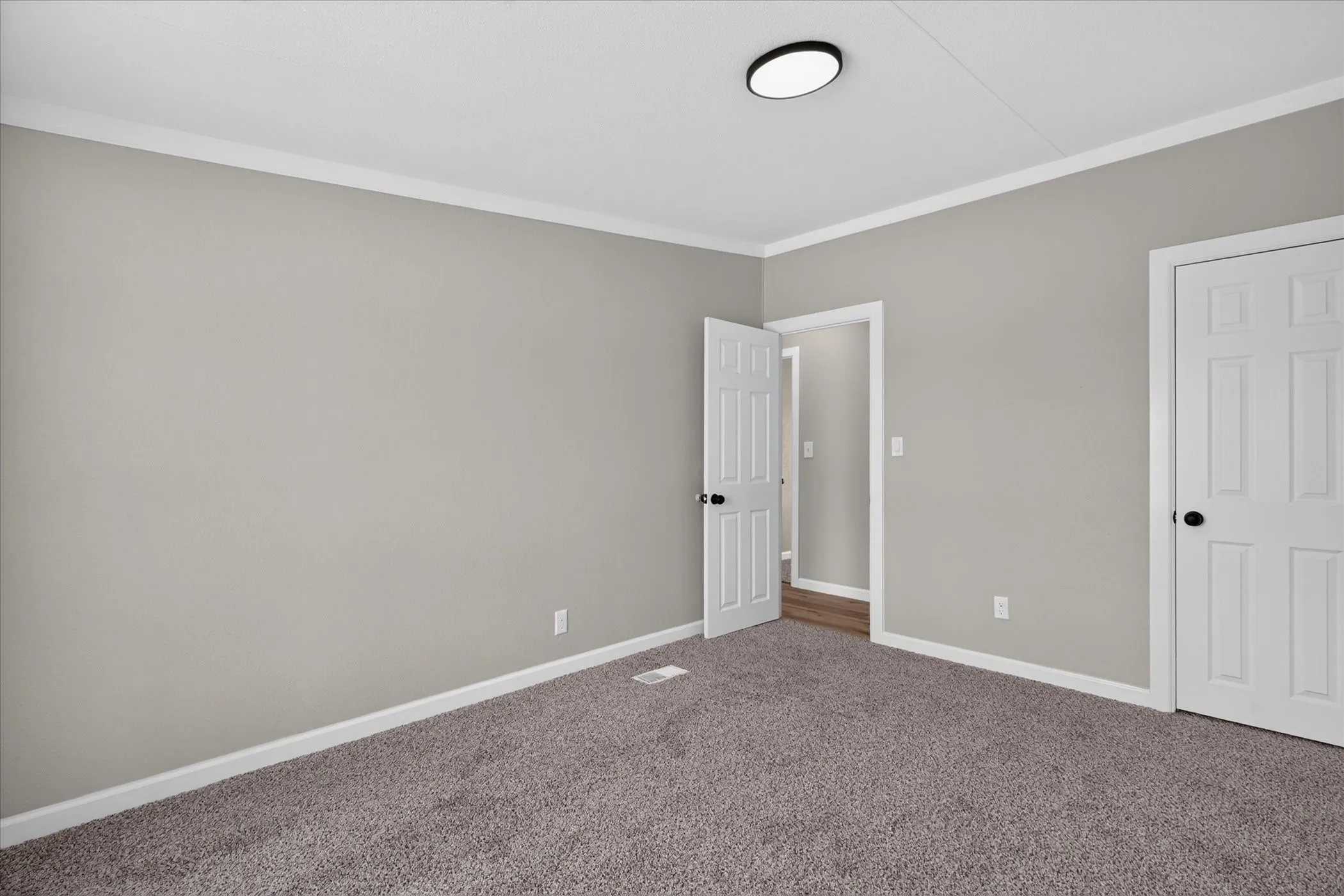 Neutral paint, carpeted flooring, white trim, paneled doors, and a ceiling-mounted light fixture