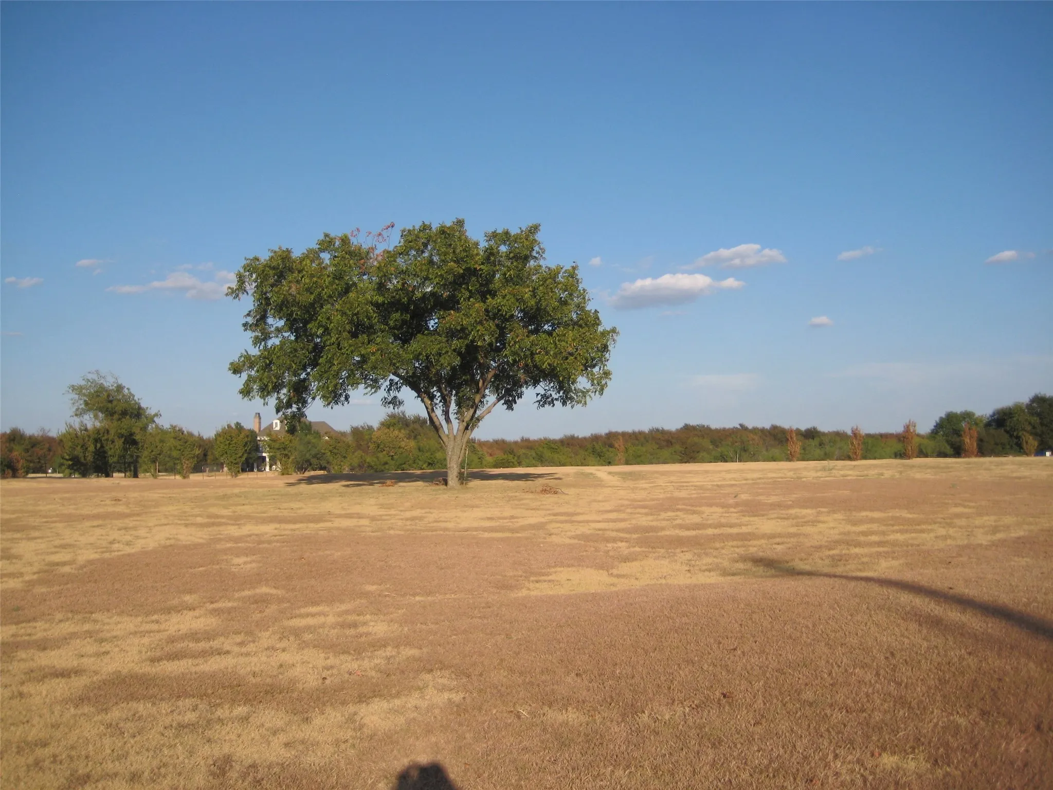 Unimproved Land For Sale in Denton County , Lot 1 Jones Road, Sanger, Texas 76266, 0, 0, Garage spaces, 0 Sqft, built in 0, mls#21383325, Real Estate Agent in Sanger, Homes For Sale in Denton county, Homes For Sale in Sanger, Realtor in Sanger Texas, Real Estate Brokerage Independent Realty Texas, Luminita Cordes Realtor