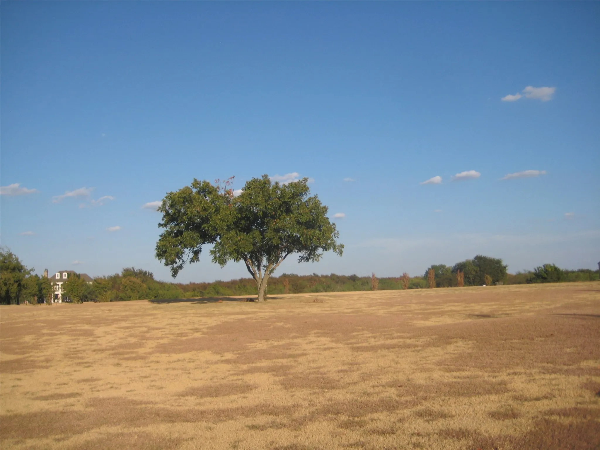 Unimproved Land For Sale in Denton County , Lot 1 Jones Road, Sanger, Texas 76266, 0, 0, Garage spaces, 0 Sqft, built in 0, mls#21383325, Real Estate Agent in Sanger, Homes For Sale in Denton county, Homes For Sale in Sanger, Realtor in Sanger Texas, Real Estate Brokerage Independent Realty Texas, Luminita Cordes Realtor