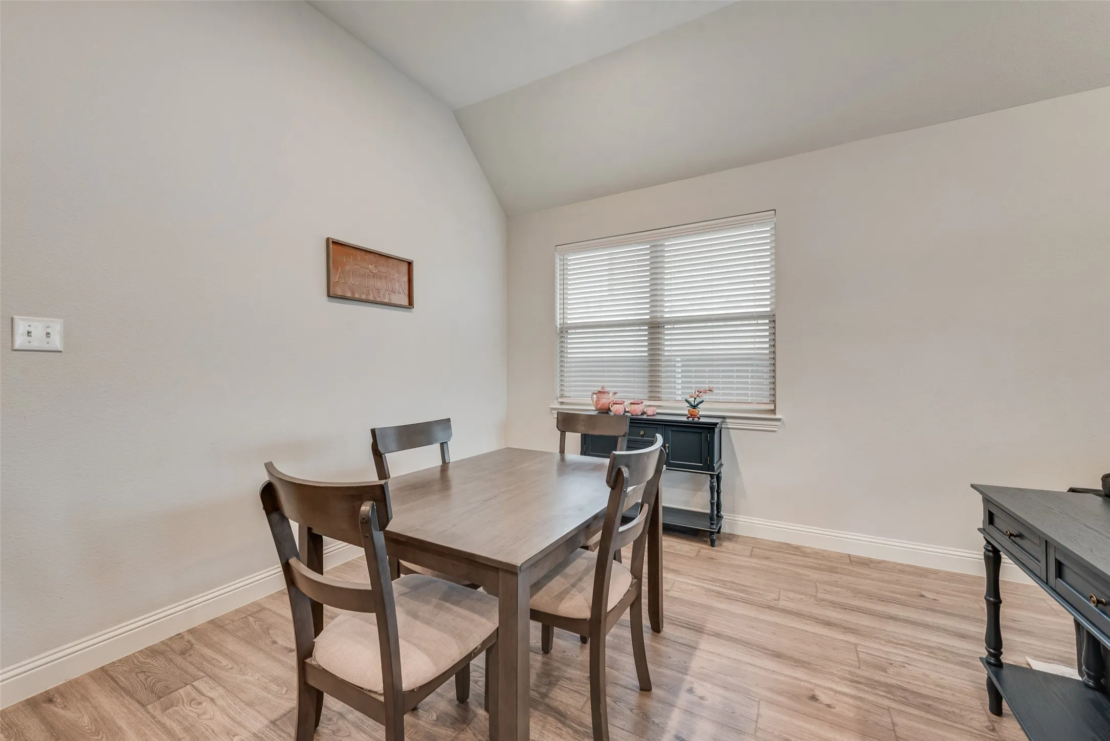 shaker cabinets, quartz countertops and 11 ft ceilings at 1721 Pattenson Trl, Haslet, TX 76052 in Wellington subdivision
