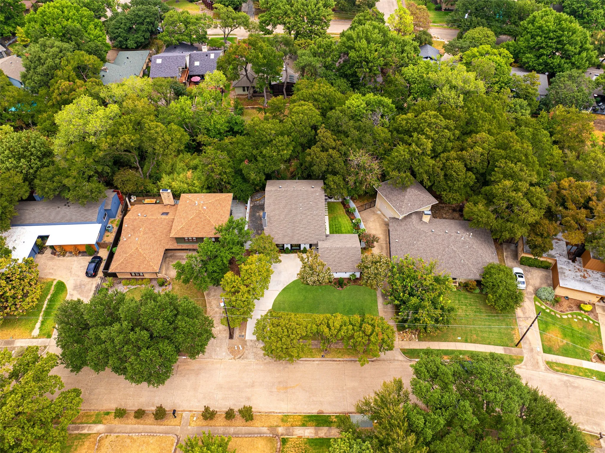 Mature trees surrounding the property