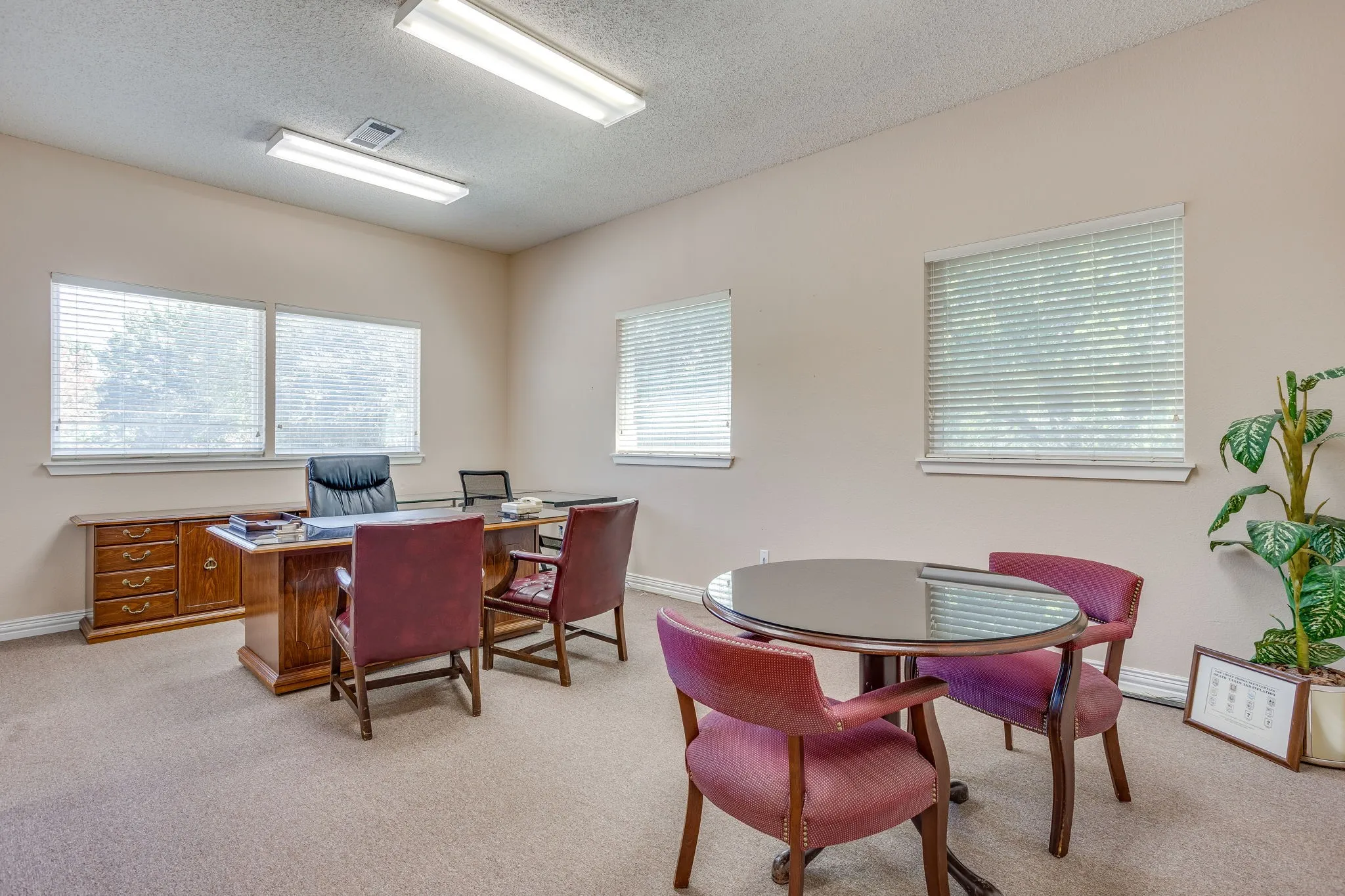 Neutral wall paint, carpeted flooring, multiple windows with blinds, and overhead fluorescent lighting