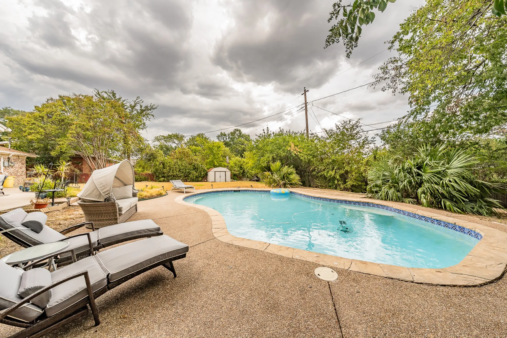 Curved swimming pool with mosaic tile trim, surrounded by a textured concrete patio