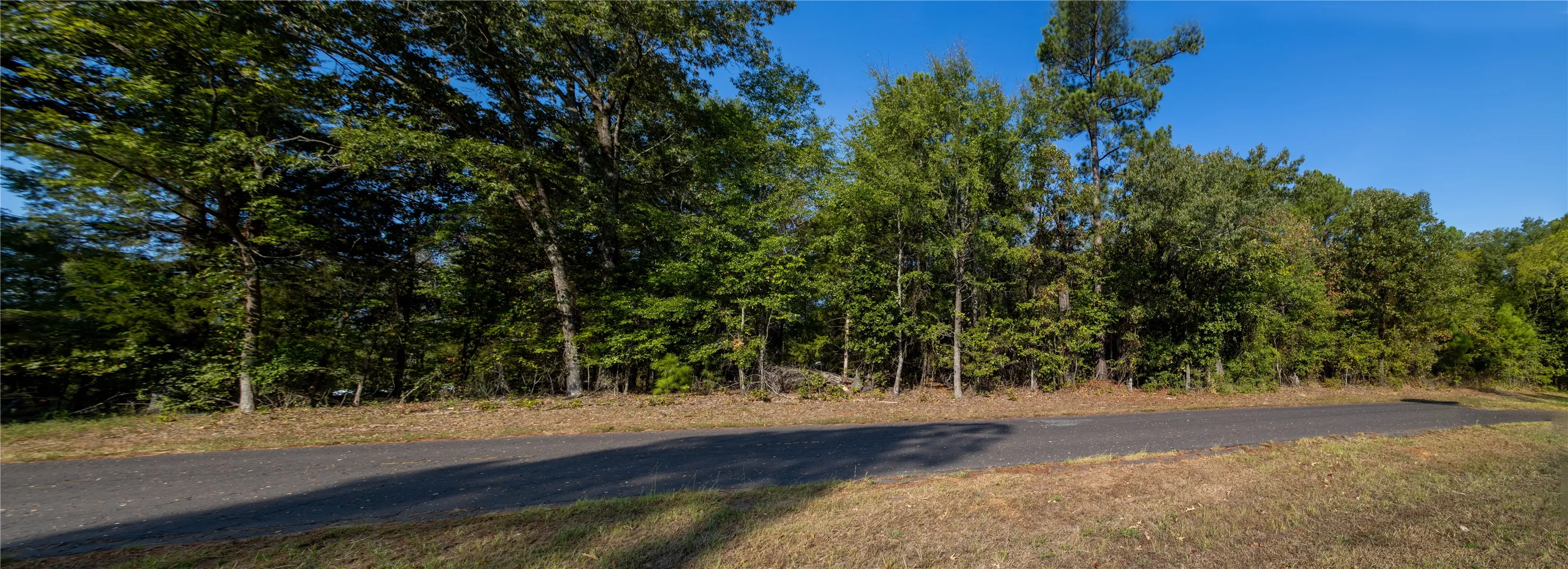 Unimproved Land For Sale in Wood County , TBD CR 3440, Hawkins, Texas 75765, 0, 0, Garage spaces, 0 Sqft, built in 0, mls#21380036, Real Estate Agent in Hawkins, Homes For Sale in Wood county, Homes For Sale in Hawkins, Realtor in Hawkins Texas, Real Estate Brokerage Independent Realty Texas, Luminita Cordes Realtor