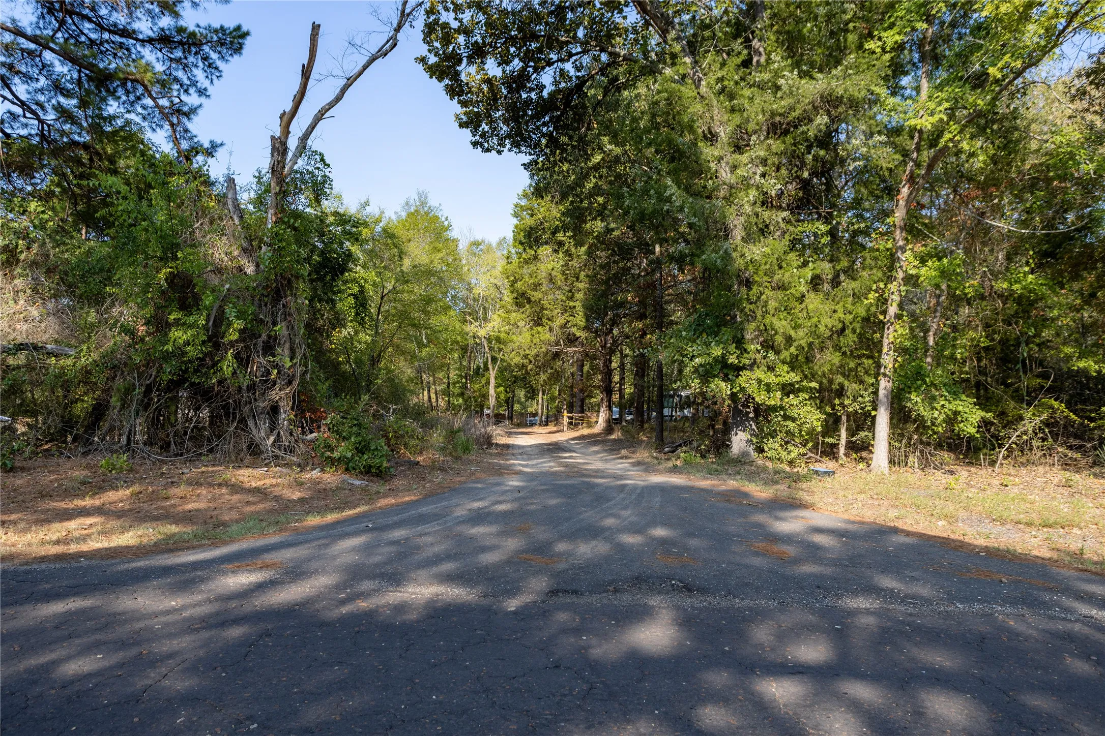 Unimproved Land For Sale in Wood County , TBD CR 3440, Hawkins, Texas 75765, 0, 0, Garage spaces, 0 Sqft, built in 0, mls#21380036, Real Estate Agent in Hawkins, Homes For Sale in Wood county, Homes For Sale in Hawkins, Realtor in Hawkins Texas, Real Estate Brokerage Independent Realty Texas, Luminita Cordes Realtor