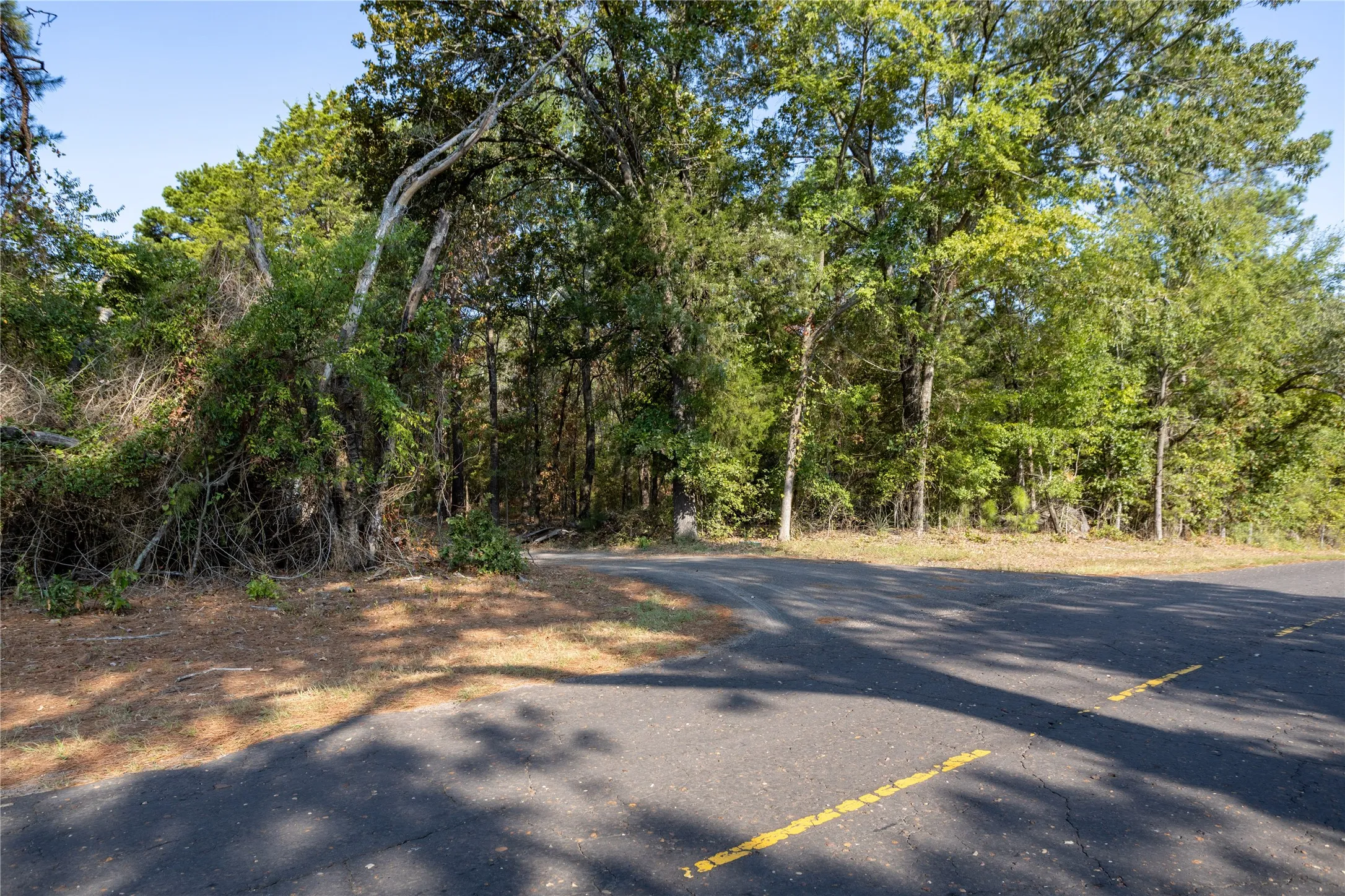 Unimproved Land For Sale in Wood County , TBD CR 3440, Hawkins, Texas 75765, 0, 0, Garage spaces, 0 Sqft, built in 0, mls#21380036, Real Estate Agent in Hawkins, Homes For Sale in Wood county, Homes For Sale in Hawkins, Realtor in Hawkins Texas, Real Estate Brokerage Independent Realty Texas, Luminita Cordes Realtor