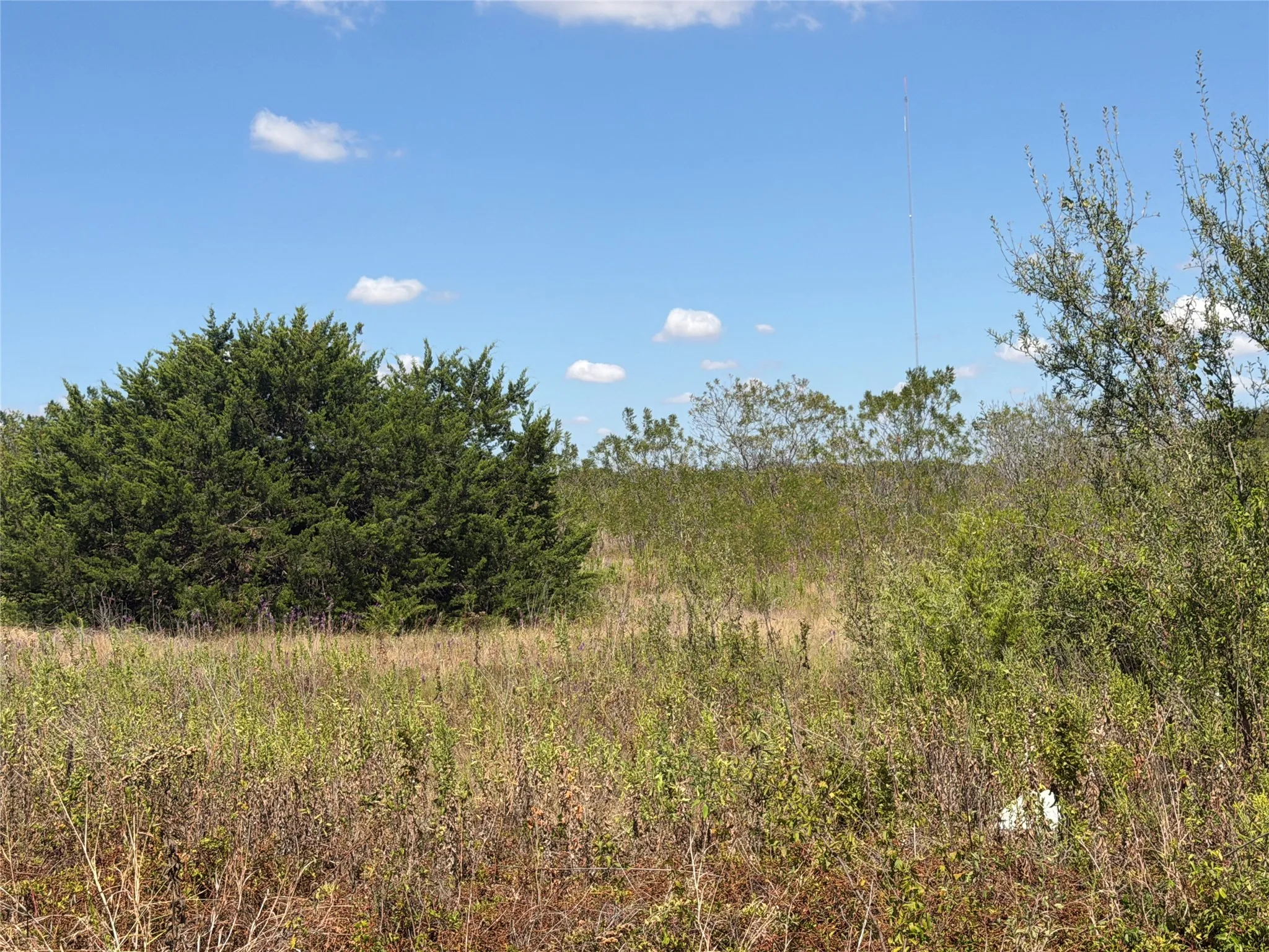 Unimproved Land For Sale in Mc Lennan County , 2550 Hodge Road Lot 3, Moody, Texas 76557, 0, 0, Garage spaces, 0 Sqft, built in 0, mls#21318024, Real Estate Agent in Moody, Homes For Sale in Mc Lennan county, Homes For Sale in Moody, Realtor in Moody Texas, Real Estate Brokerage Independent Realty Texas, Luminita Cordes Realtor