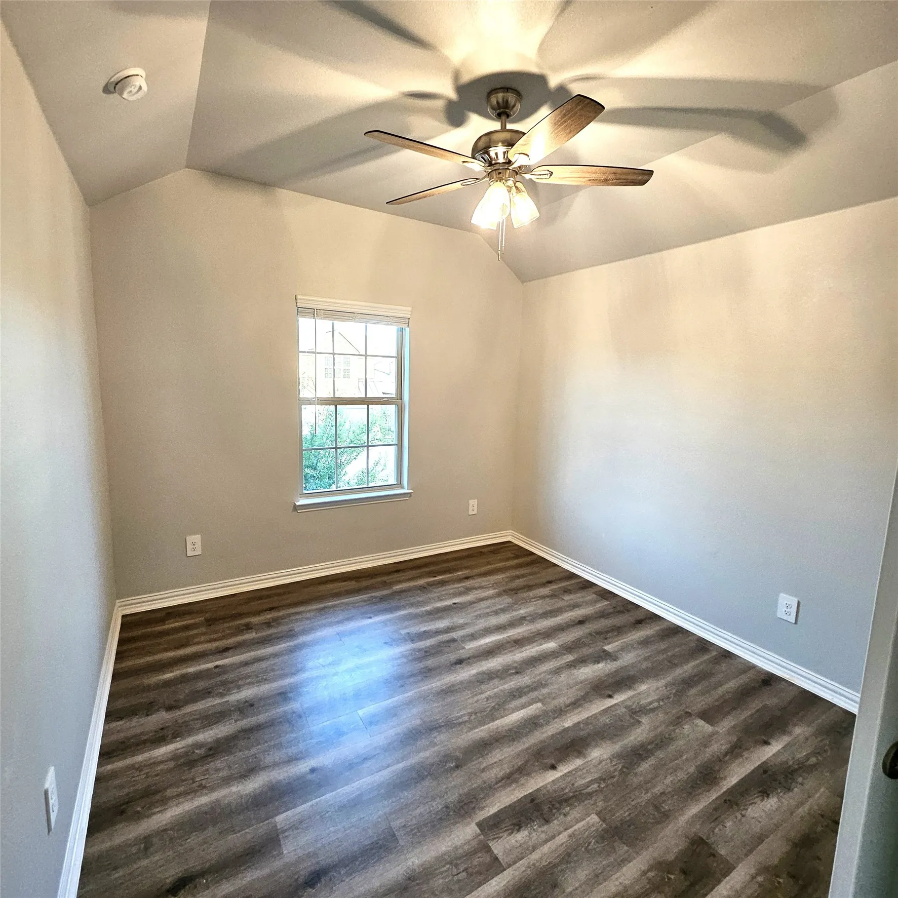 Tray ceiling, wood-finish flooring, ceiling fan with integrated lighting, natural light from a window, and neutral wall tones