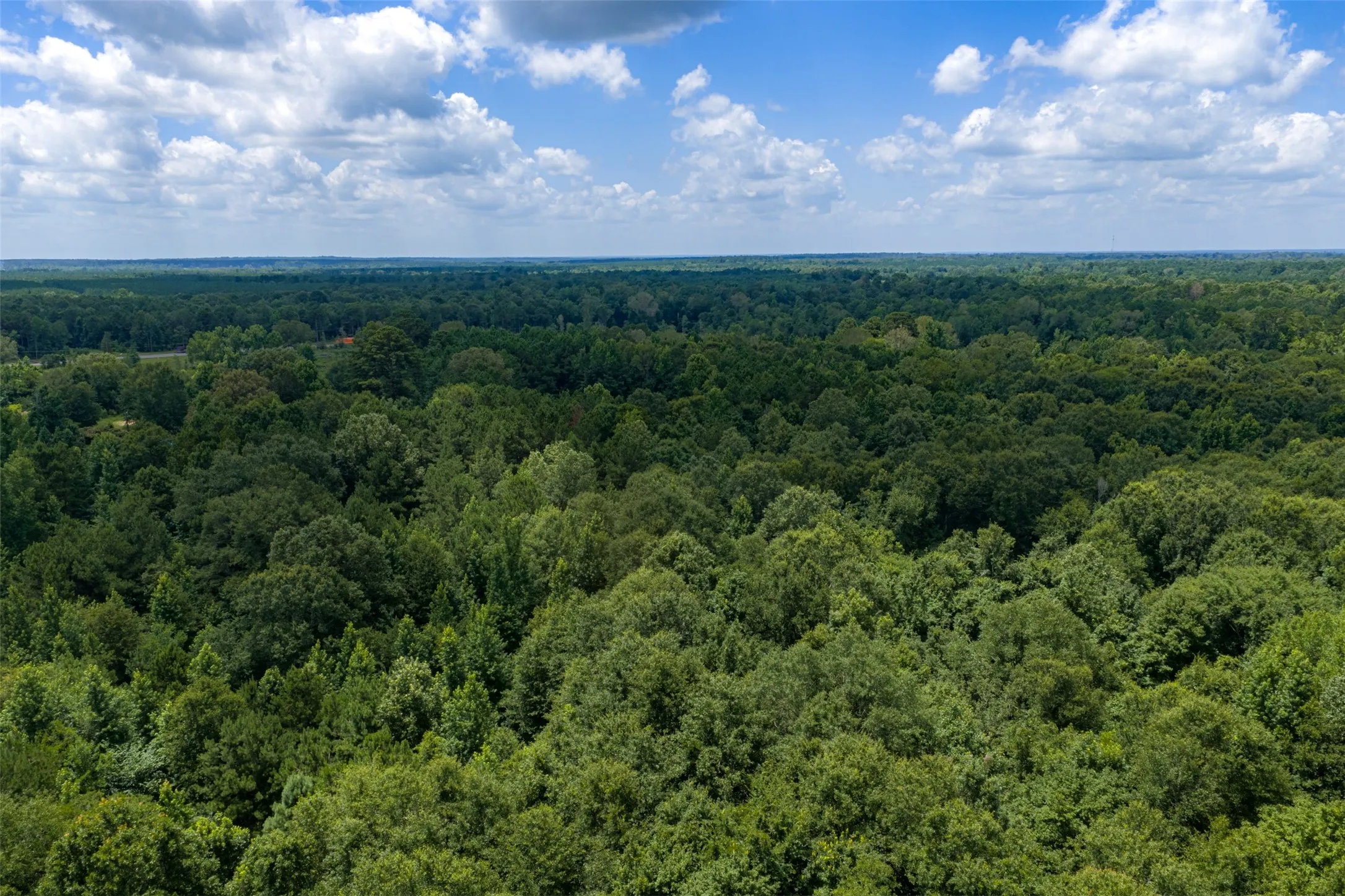 Unimproved Land For Sale in Panola County , 0 County Road 3154, De Berry, Texas 75639, 0, 0, Garage spaces, 0 Sqft, built in 0, mls#21383464, Real Estate Agent in De Berry, Homes For Sale in Panola county, Homes For Sale in De Berry, Realtor in De Berry Texas, Real Estate Brokerage Independent Realty Texas, Luminita Cordes Realtor