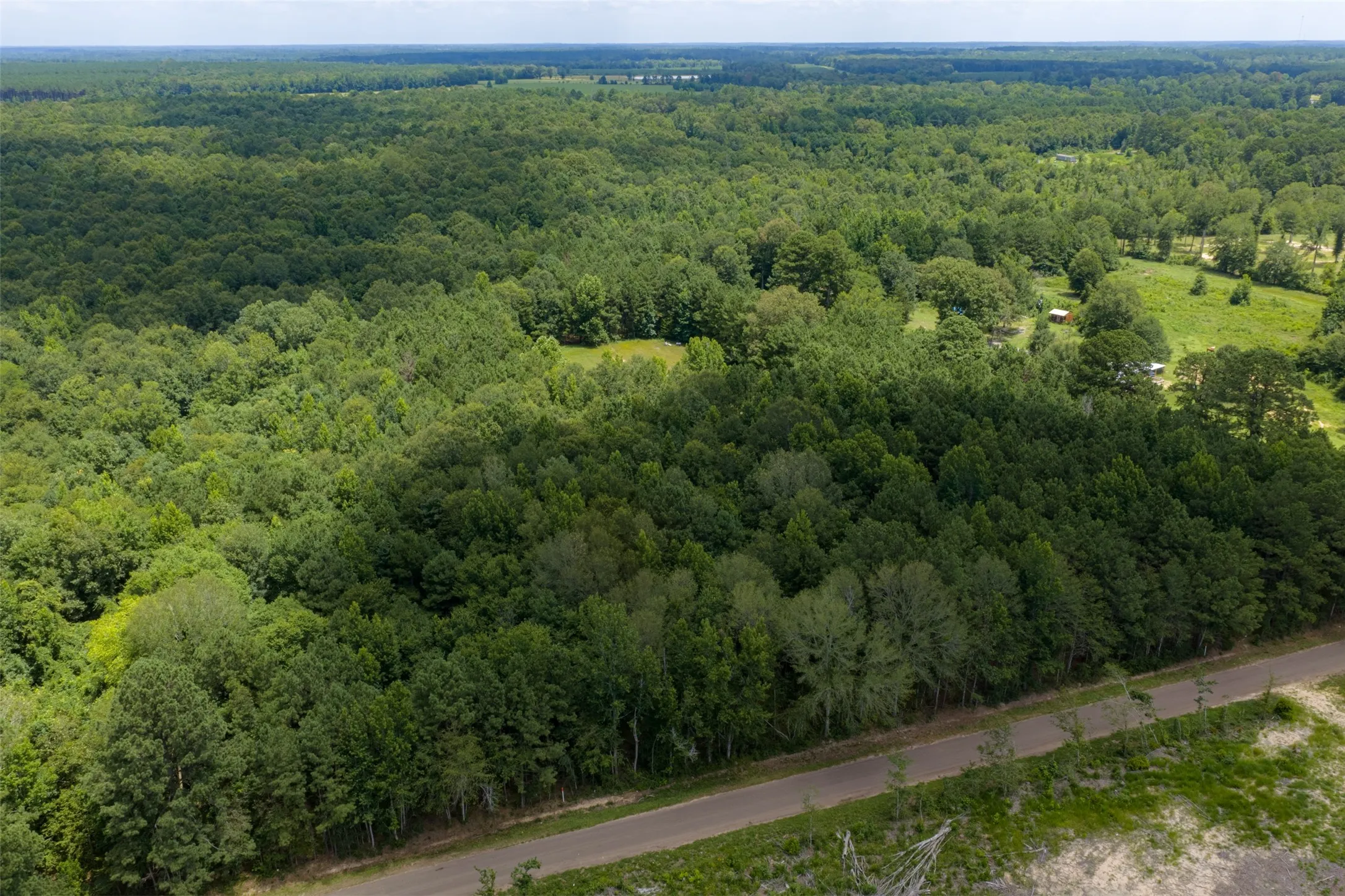 Unimproved Land For Sale in Panola County , 0 County Road 3154, De Berry, Texas 75639, 0, 0, Garage spaces, 0 Sqft, built in 0, mls#21383464, Real Estate Agent in De Berry, Homes For Sale in Panola county, Homes For Sale in De Berry, Realtor in De Berry Texas, Real Estate Brokerage Independent Realty Texas, Luminita Cordes Realtor