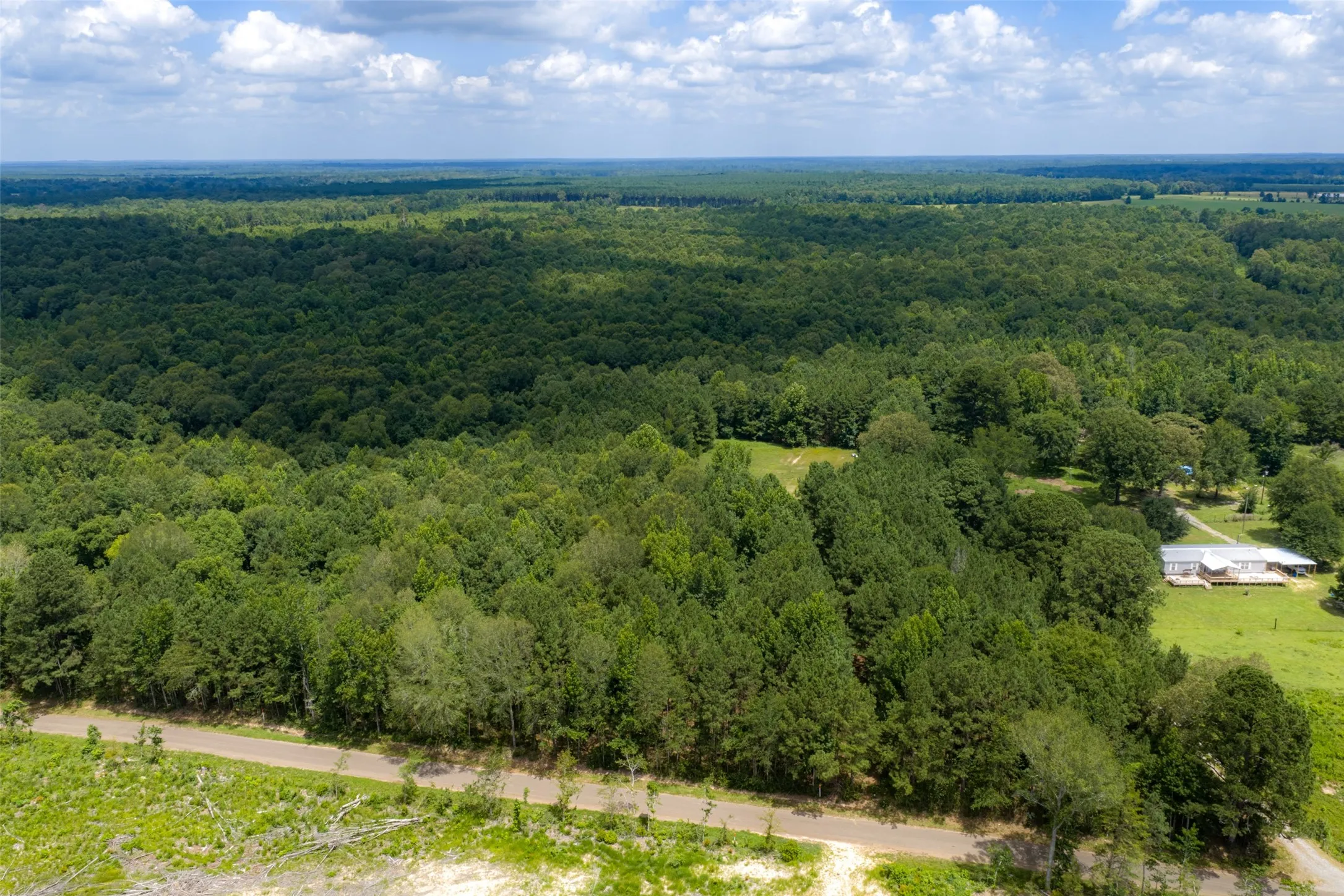 Unimproved Land For Sale in Panola County , 0 County Road 3154, De Berry, Texas 75639, 0, 0, Garage spaces, 0 Sqft, built in 0, mls#21383464, Real Estate Agent in De Berry, Homes For Sale in Panola county, Homes For Sale in De Berry, Realtor in De Berry Texas, Real Estate Brokerage Independent Realty Texas, Luminita Cordes Realtor