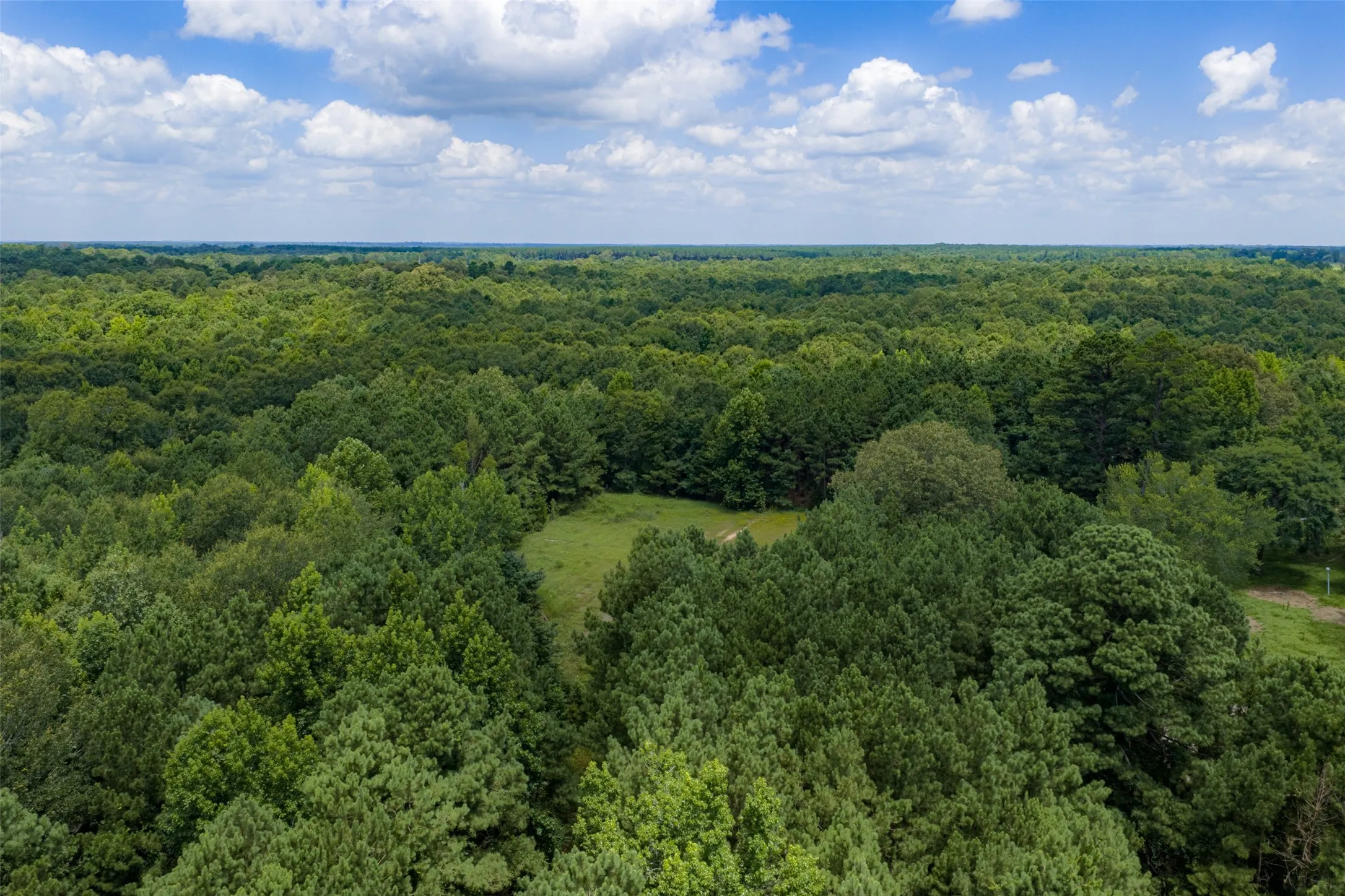 Unimproved Land For Sale in Panola County , 0 County Road 3154, De Berry, Texas 75639, 0, 0, Garage spaces, 0 Sqft, built in 0, mls#21383464, Real Estate Agent in De Berry, Homes For Sale in Panola county, Homes For Sale in De Berry, Realtor in De Berry Texas, Real Estate Brokerage Independent Realty Texas, Luminita Cordes Realtor
