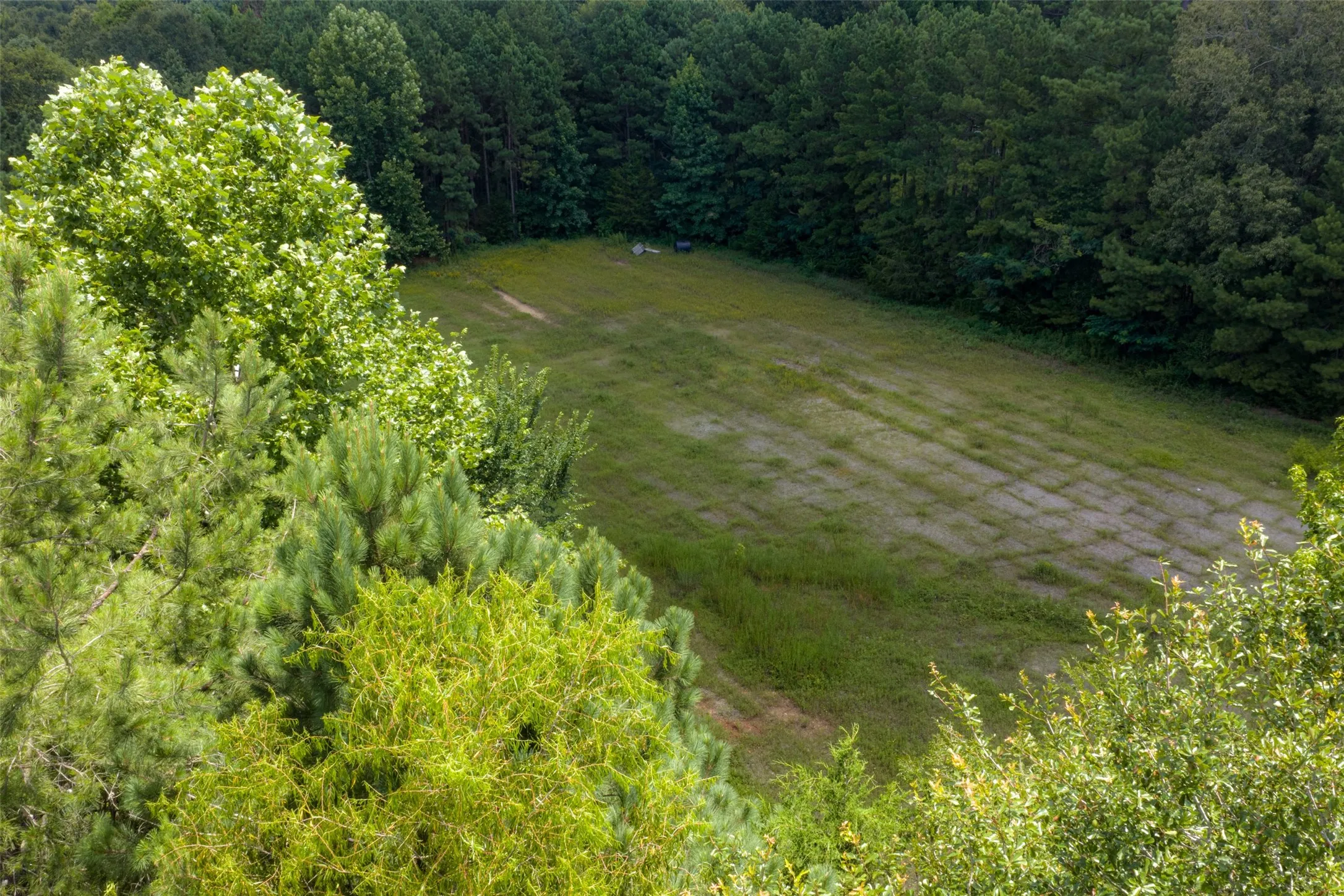 Unimproved Land For Sale in Panola County , 0 County Road 3154, De Berry, Texas 75639, 0, 0, Garage spaces, 0 Sqft, built in 0, mls#21383464, Real Estate Agent in De Berry, Homes For Sale in Panola county, Homes For Sale in De Berry, Realtor in De Berry Texas, Real Estate Brokerage Independent Realty Texas, Luminita Cordes Realtor