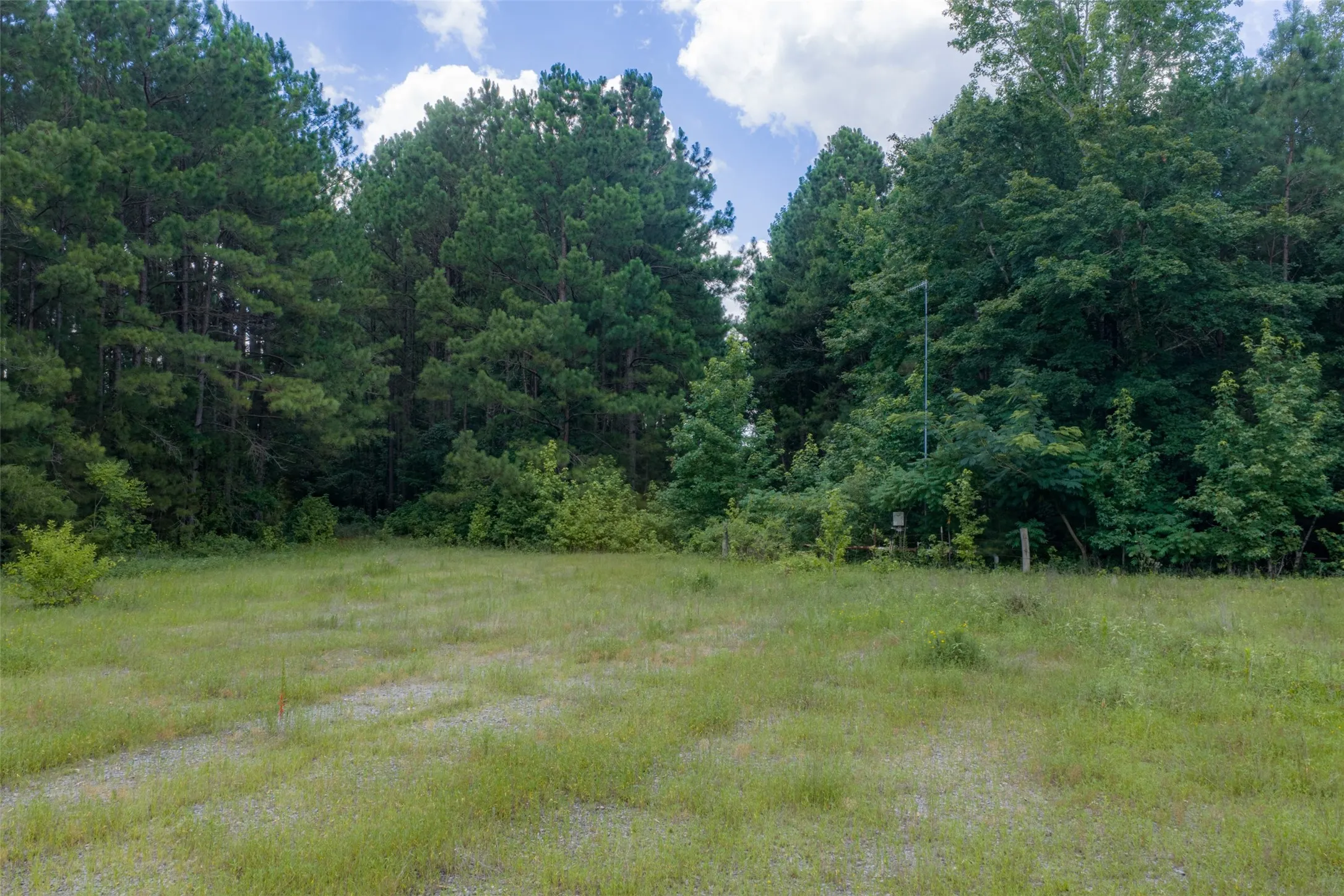 Unimproved Land For Sale in Panola County , 0 County Road 3154, De Berry, Texas 75639, 0, 0, Garage spaces, 0 Sqft, built in 0, mls#21383464, Real Estate Agent in De Berry, Homes For Sale in Panola county, Homes For Sale in De Berry, Realtor in De Berry Texas, Real Estate Brokerage Independent Realty Texas, Luminita Cordes Realtor