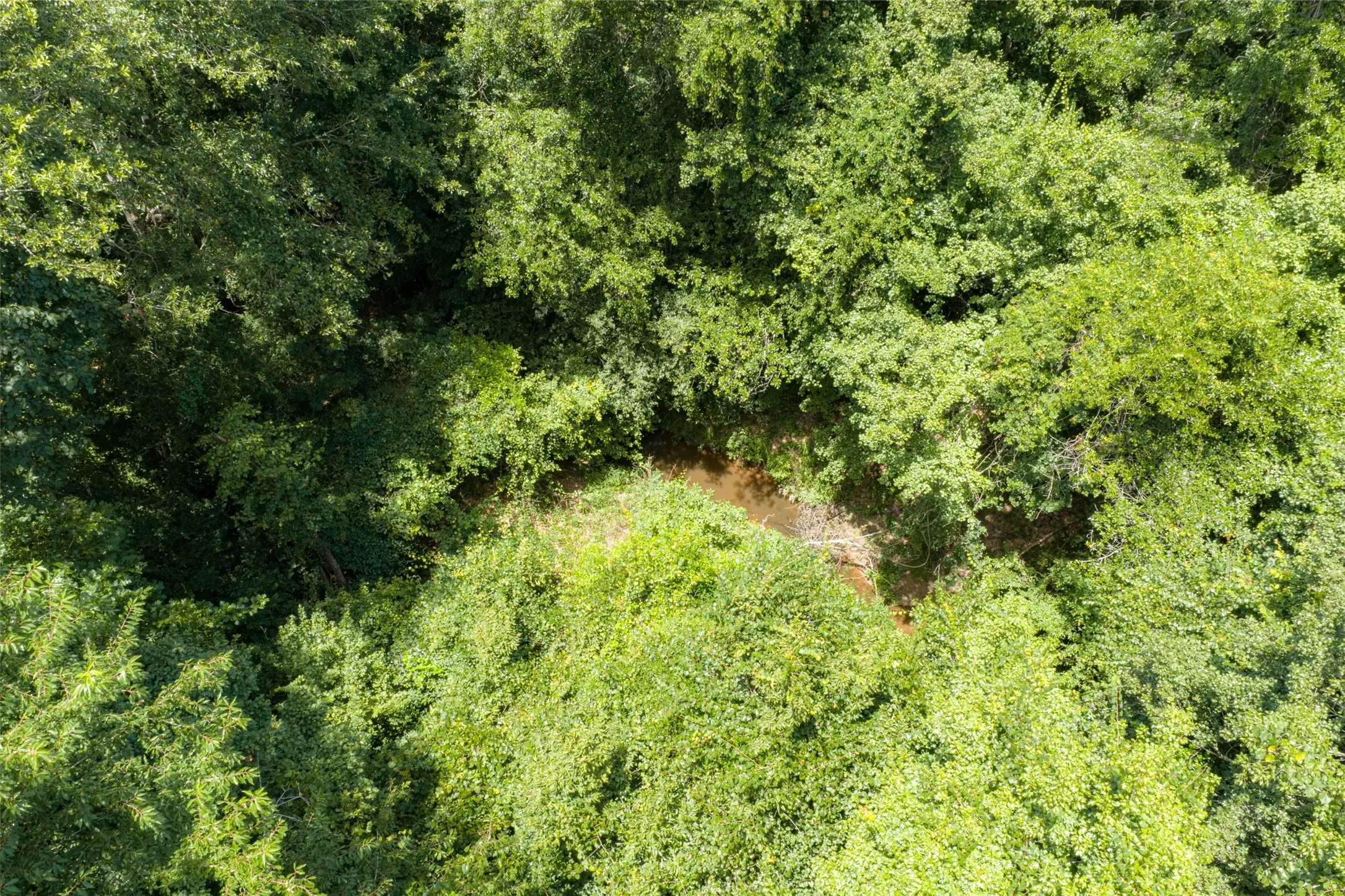 Unimproved Land For Sale in Panola County , 0 County Road 3154, De Berry, Texas 75639, 0, 0, Garage spaces, 0 Sqft, built in 0, mls#21383464, Real Estate Agent in De Berry, Homes For Sale in Panola county, Homes For Sale in De Berry, Realtor in De Berry Texas, Real Estate Brokerage Independent Realty Texas, Luminita Cordes Realtor