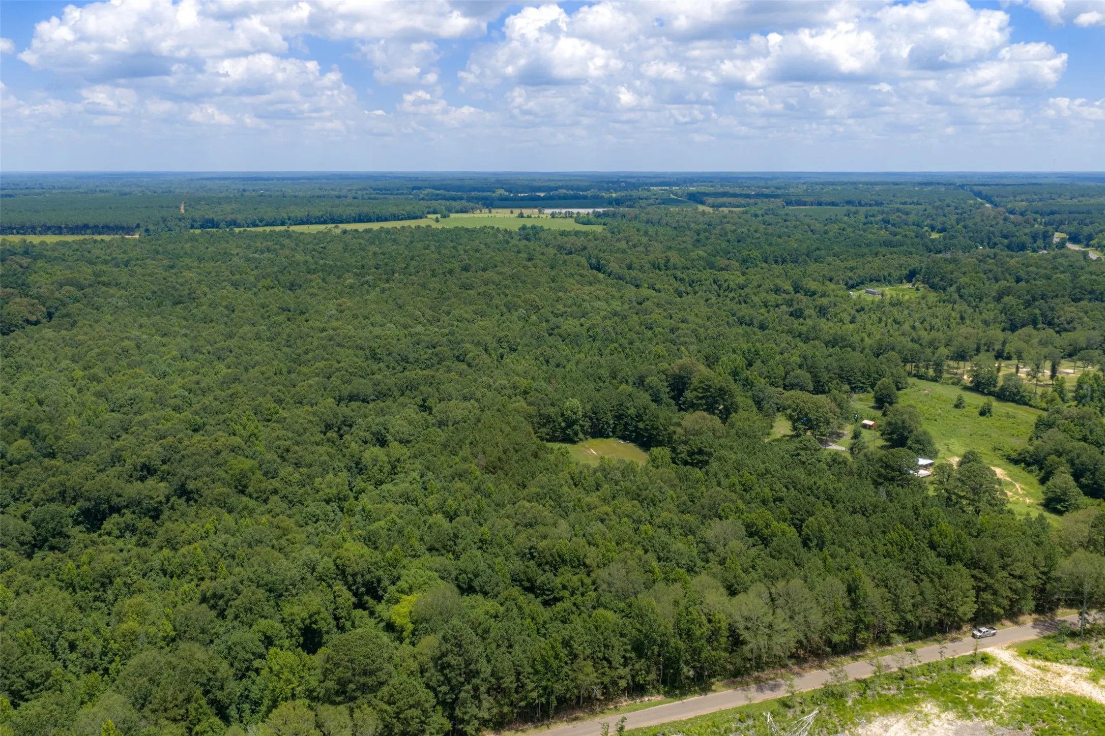 Unimproved Land For Sale in Panola County , 0 County Road 3154, De Berry, Texas 75639, 0, 0, Garage spaces, 0 Sqft, built in 0, mls#21383464, Real Estate Agent in De Berry, Homes For Sale in Panola county, Homes For Sale in De Berry, Realtor in De Berry Texas, Real Estate Brokerage Independent Realty Texas, Luminita Cordes Realtor