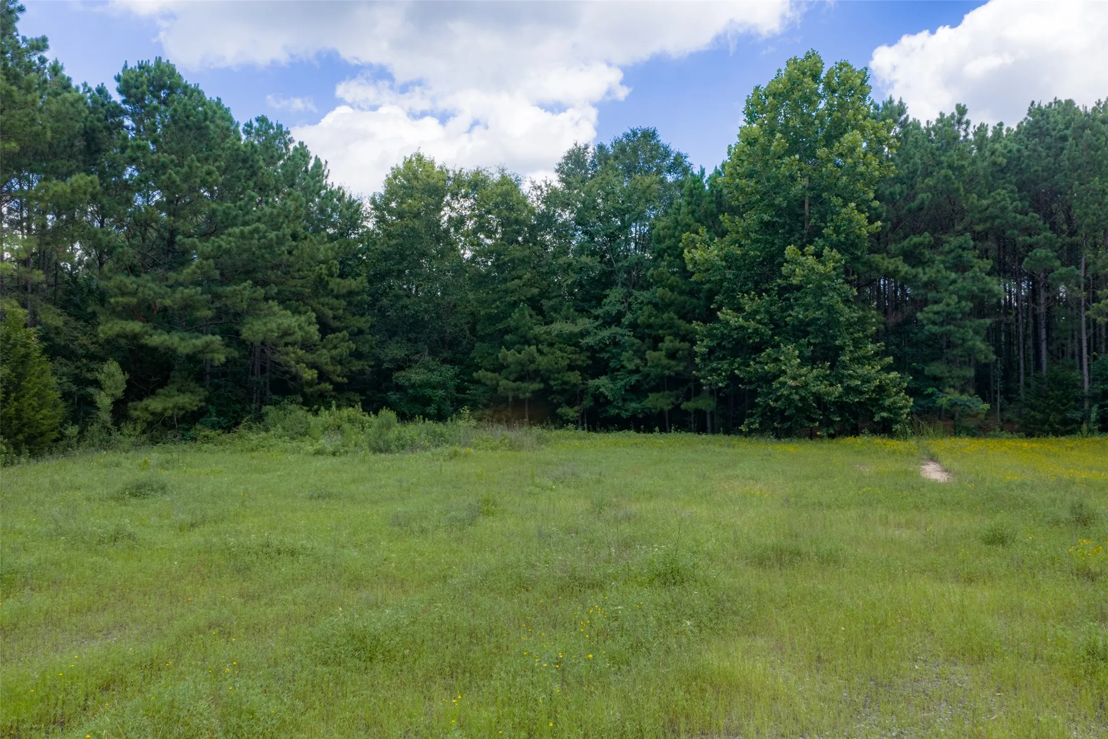 Unimproved Land For Sale in Panola County , 0 County Road 3154, De Berry, Texas 75639, 0, 0, Garage spaces, 0 Sqft, built in 0, mls#21383464, Real Estate Agent in De Berry, Homes For Sale in Panola county, Homes For Sale in De Berry, Realtor in De Berry Texas, Real Estate Brokerage Independent Realty Texas, Luminita Cordes Realtor
