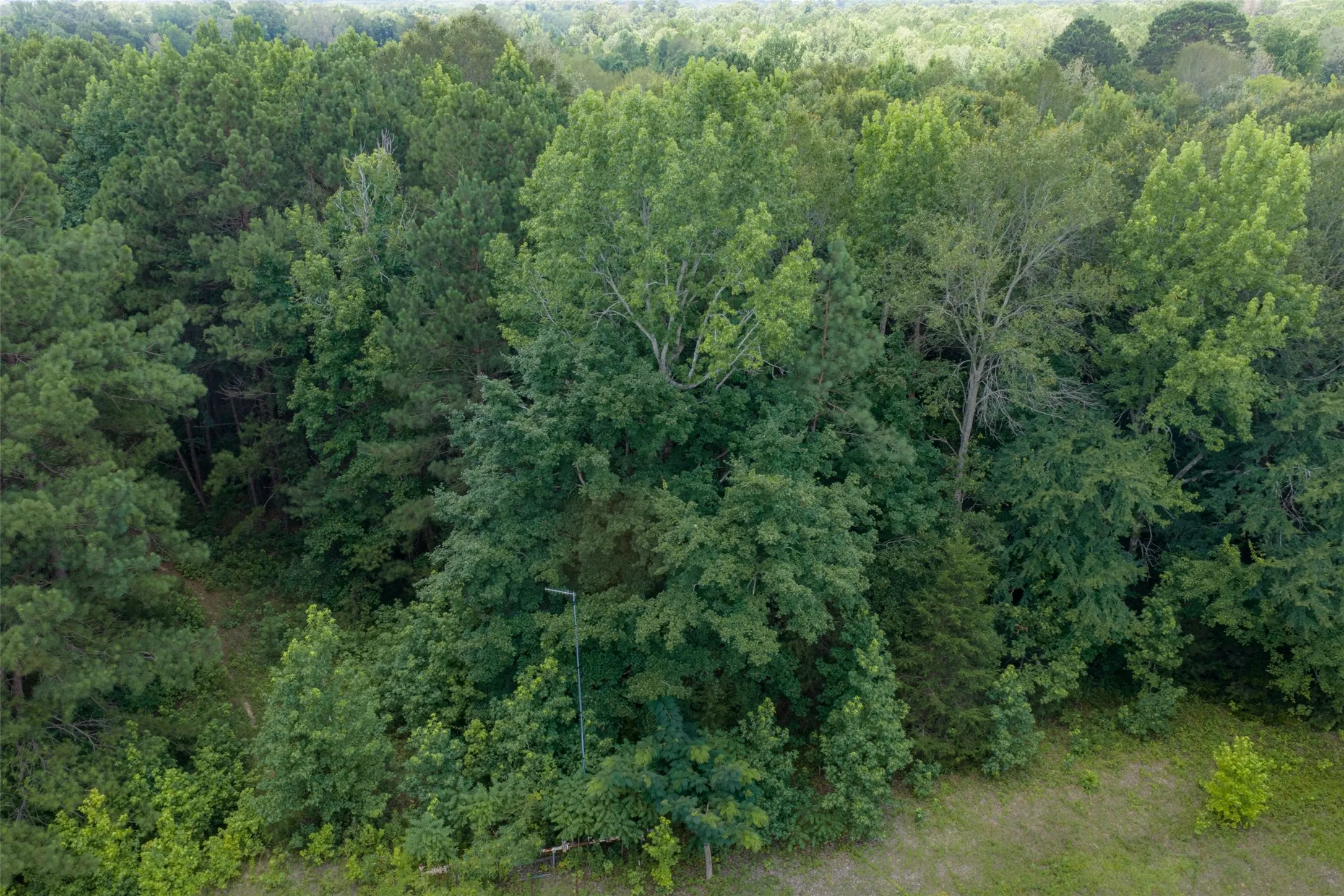 Unimproved Land For Sale in Panola County , 0 County Road 3154, De Berry, Texas 75639, 0, 0, Garage spaces, 0 Sqft, built in 0, mls#21383464, Real Estate Agent in De Berry, Homes For Sale in Panola county, Homes For Sale in De Berry, Realtor in De Berry Texas, Real Estate Brokerage Independent Realty Texas, Luminita Cordes Realtor