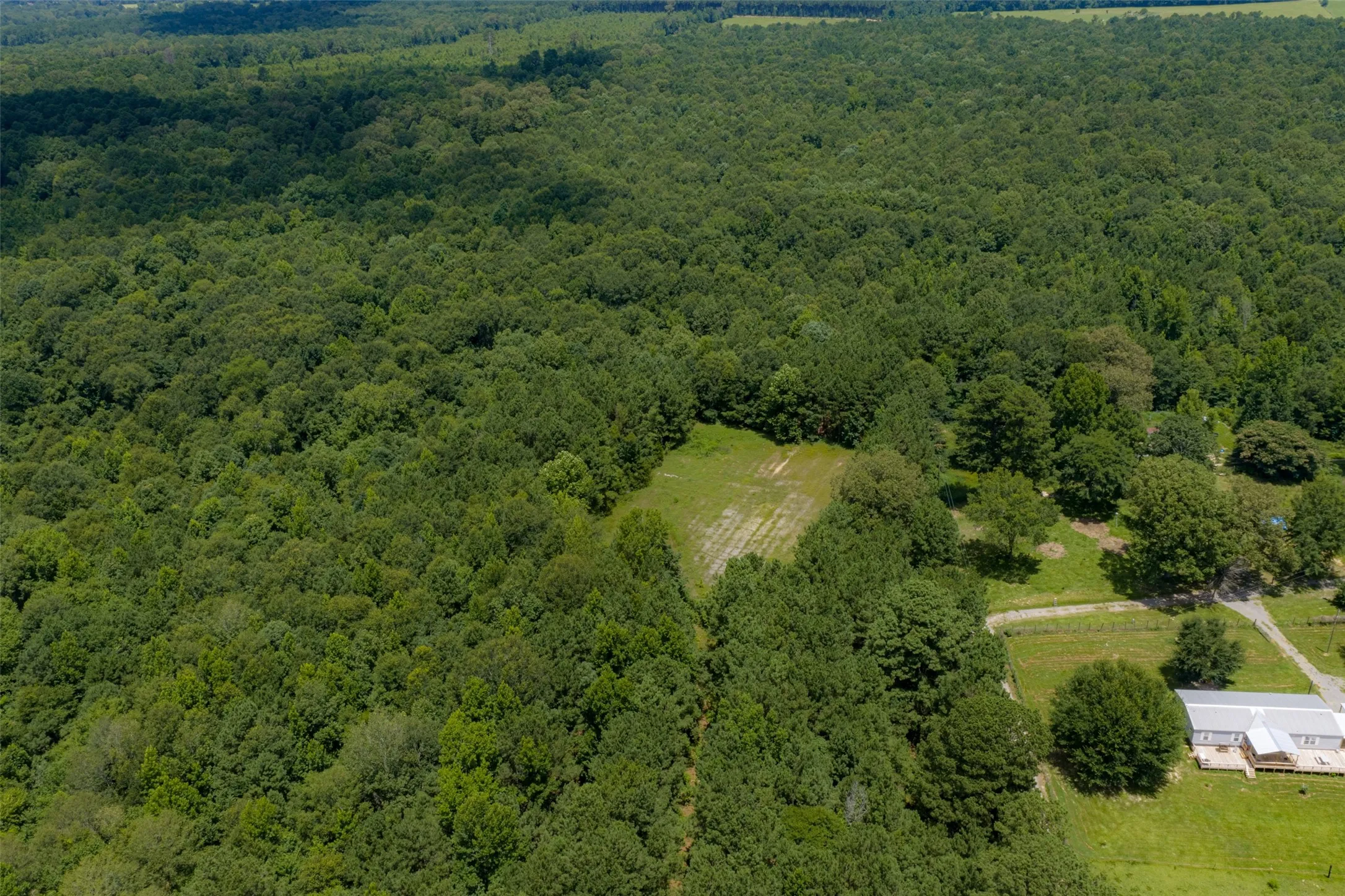Unimproved Land For Sale in Panola County , 0 County Road 3154, De Berry, Texas 75639, 0, 0, Garage spaces, 0 Sqft, built in 0, mls#21383464, Real Estate Agent in De Berry, Homes For Sale in Panola county, Homes For Sale in De Berry, Realtor in De Berry Texas, Real Estate Brokerage Independent Realty Texas, Luminita Cordes Realtor