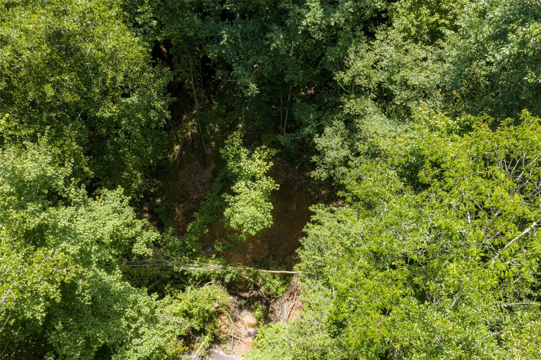 Unimproved Land For Sale in Panola County , 0 County Road 3154, De Berry, Texas 75639, 0, 0, Garage spaces, 0 Sqft, built in 0, mls#21383464, Real Estate Agent in De Berry, Homes For Sale in Panola county, Homes For Sale in De Berry, Realtor in De Berry Texas, Real Estate Brokerage Independent Realty Texas, Luminita Cordes Realtor