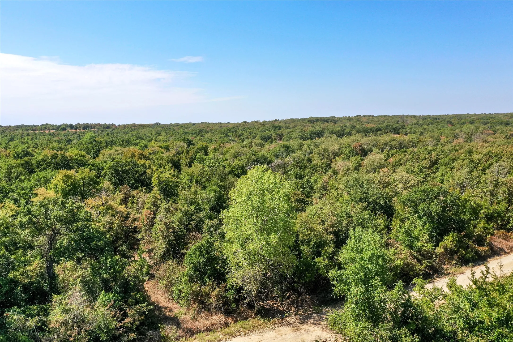 Ranch For Sale in Jack County , TBD Two Bush Road Road, Perrin, Texas 76486, 0, 0, Garage spaces, 0 Sqft, built in 0, mls#21383364, Real Estate Agent in Perrin, Homes For Sale in Jack county, Homes For Sale in Perrin, Realtor in Perrin Texas, Real Estate Brokerage Independent Realty Texas, Luminita Cordes Realtor
