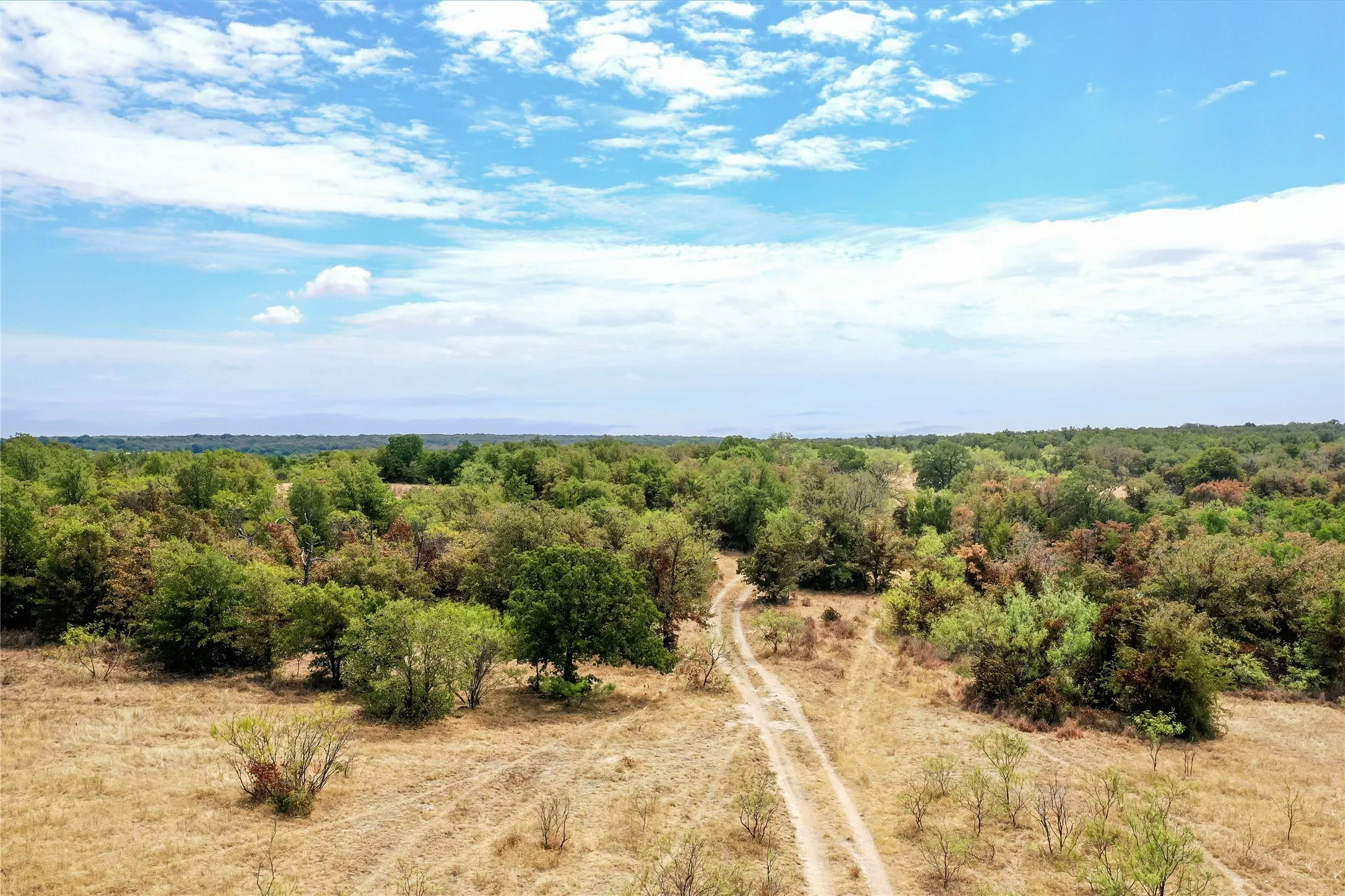 Ranch For Sale in Jack County , TBD Two Bush Road Road, Perrin, Texas 76486, 0, 0, Garage spaces, 0 Sqft, built in 0, mls#21383364, Real Estate Agent in Perrin, Homes For Sale in Jack county, Homes For Sale in Perrin, Realtor in Perrin Texas, Real Estate Brokerage Independent Realty Texas, Luminita Cordes Realtor