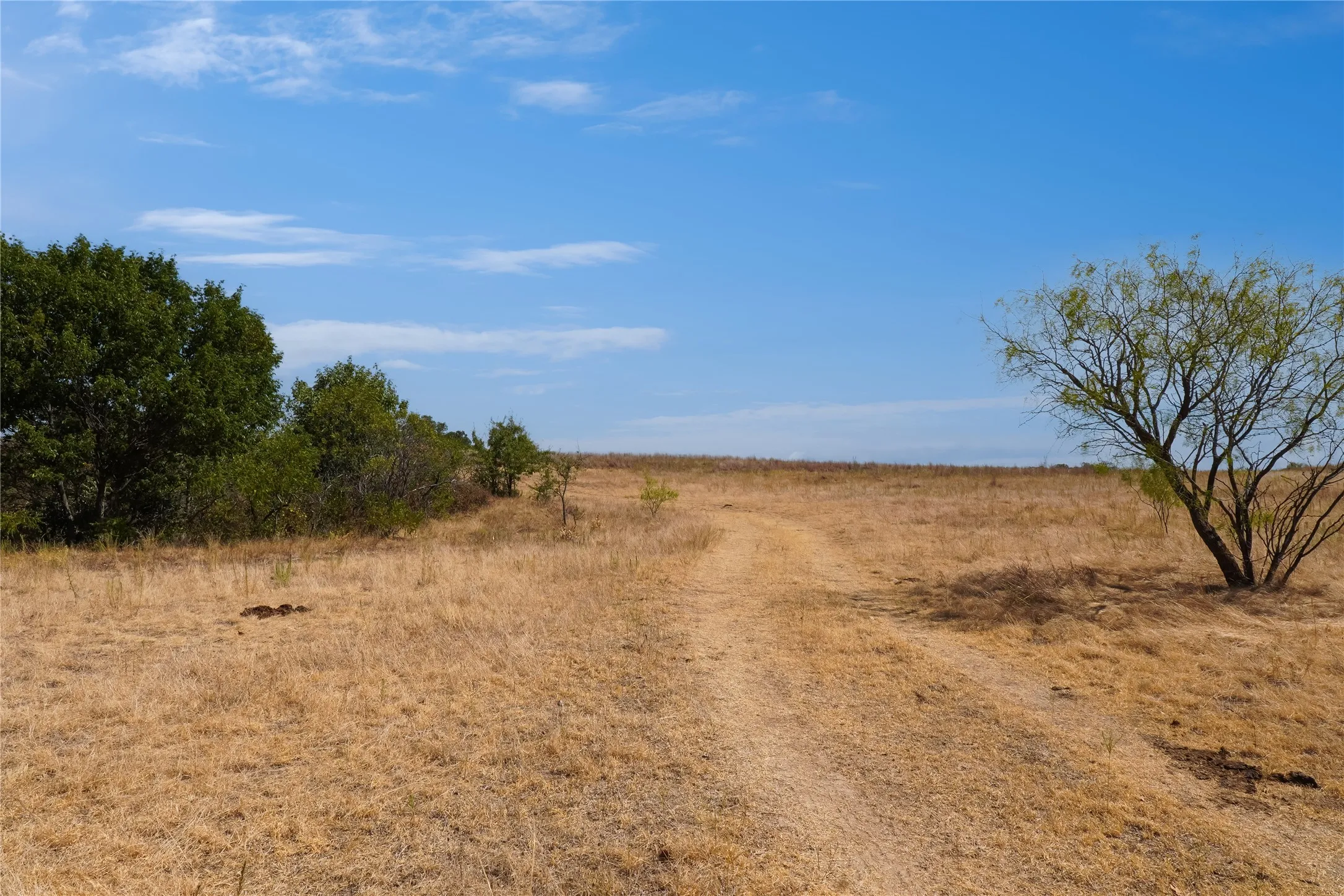 Ranch For Sale in Jack County , TBD Two Bush Road Road, Perrin, Texas 76486, 0, 0, Garage spaces, 0 Sqft, built in 0, mls#21383364, Real Estate Agent in Perrin, Homes For Sale in Jack county, Homes For Sale in Perrin, Realtor in Perrin Texas, Real Estate Brokerage Independent Realty Texas, Luminita Cordes Realtor