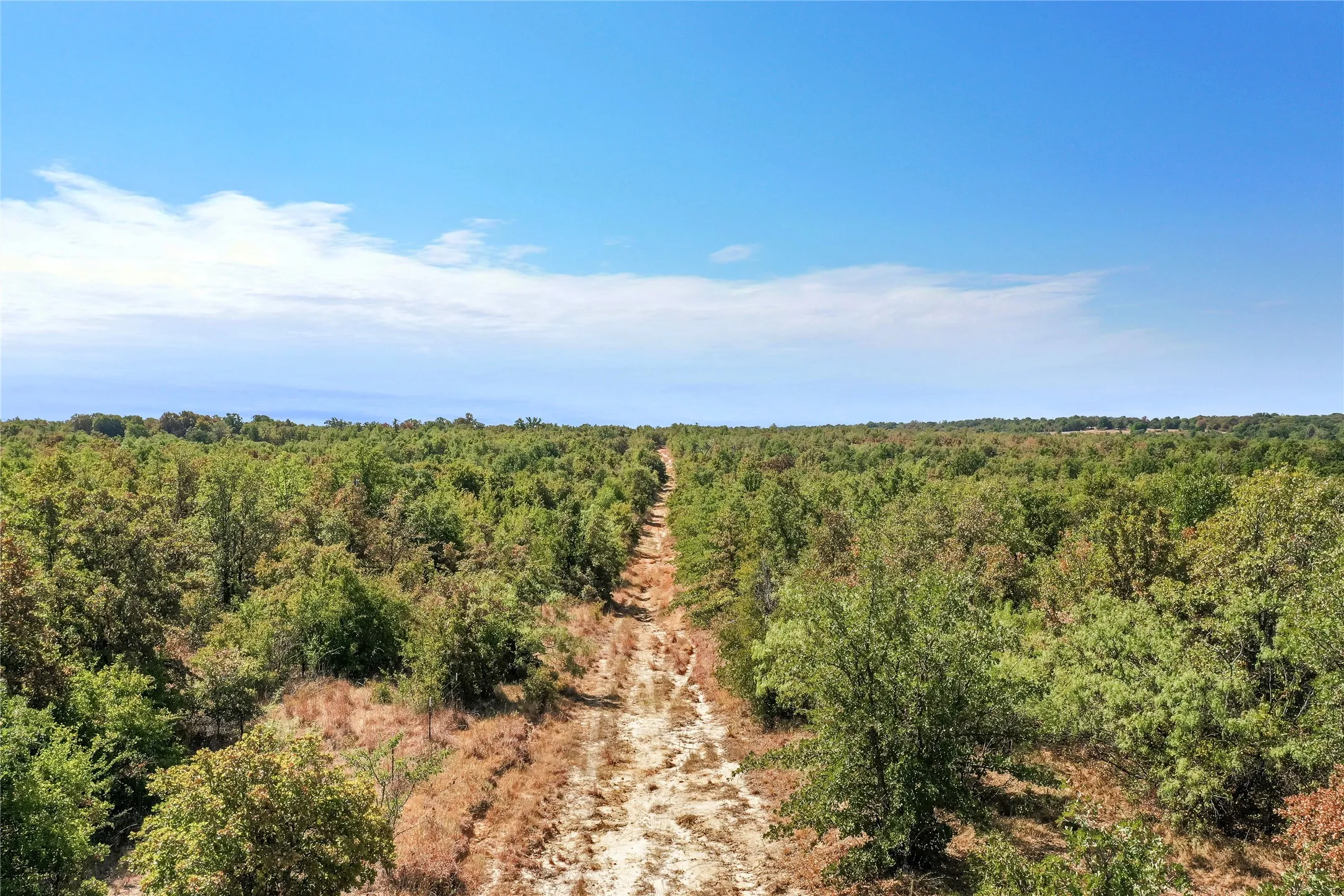 Ranch For Sale in Jack County , TBD Two Bush Road Road, Perrin, Texas 76486, 0, 0, Garage spaces, 0 Sqft, built in 0, mls#21383364, Real Estate Agent in Perrin, Homes For Sale in Jack county, Homes For Sale in Perrin, Realtor in Perrin Texas, Real Estate Brokerage Independent Realty Texas, Luminita Cordes Realtor