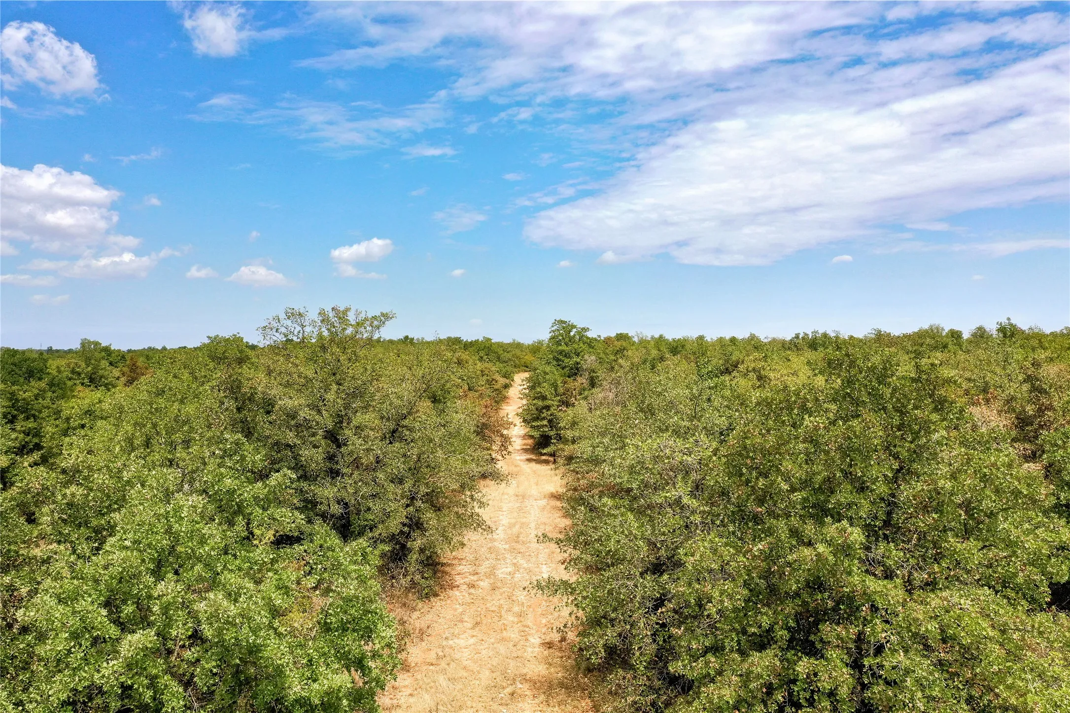 Ranch For Sale in Jack County , TBD Two Bush Road Road, Perrin, Texas 76486, 0, 0, Garage spaces, 0 Sqft, built in 0, mls#21383364, Real Estate Agent in Perrin, Homes For Sale in Jack county, Homes For Sale in Perrin, Realtor in Perrin Texas, Real Estate Brokerage Independent Realty Texas, Luminita Cordes Realtor