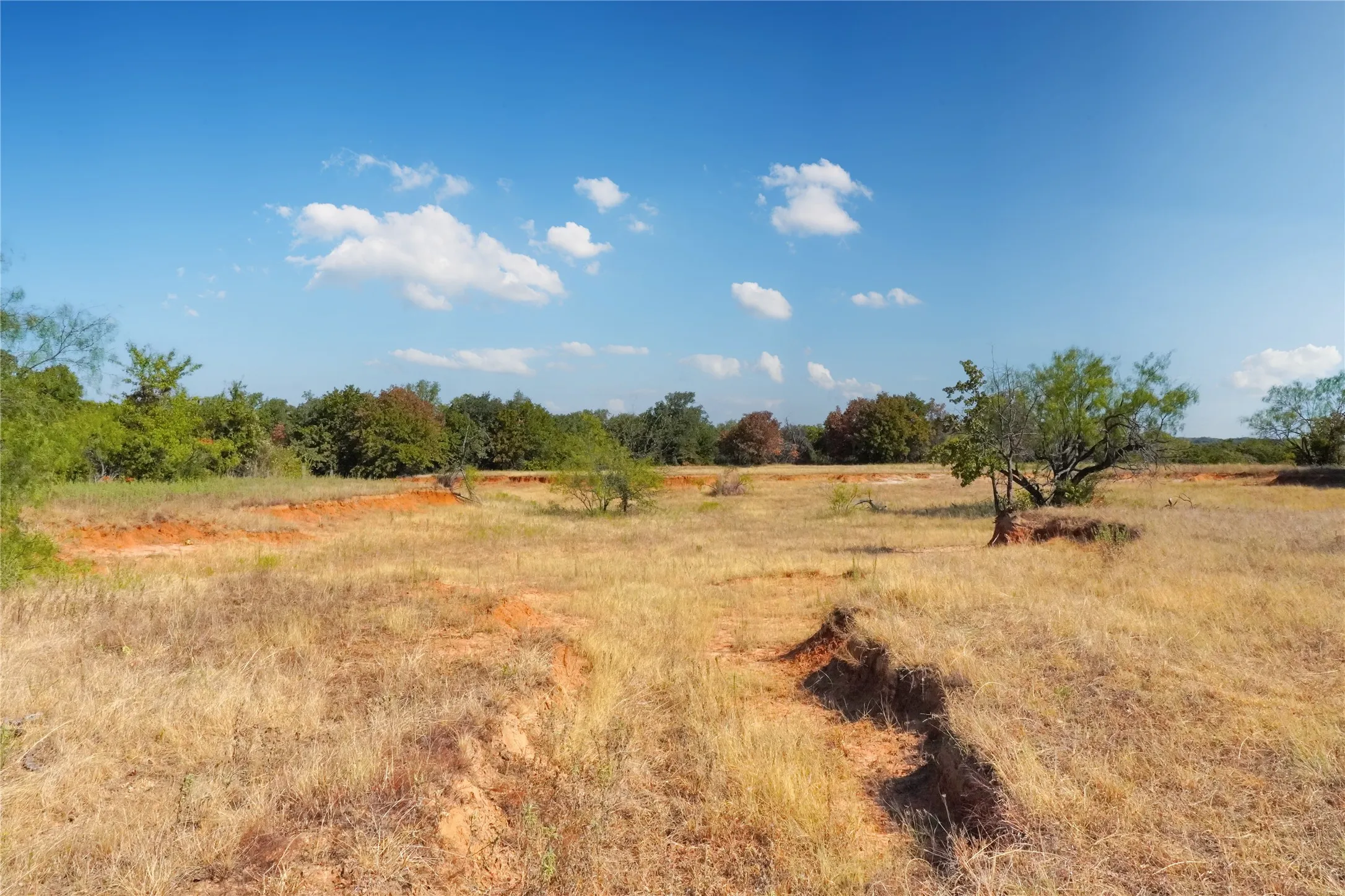 Ranch For Sale in Jack County , TBD Two Bush Road Road, Perrin, Texas 76486, 0, 0, Garage spaces, 0 Sqft, built in 0, mls#21383364, Real Estate Agent in Perrin, Homes For Sale in Jack county, Homes For Sale in Perrin, Realtor in Perrin Texas, Real Estate Brokerage Independent Realty Texas, Luminita Cordes Realtor