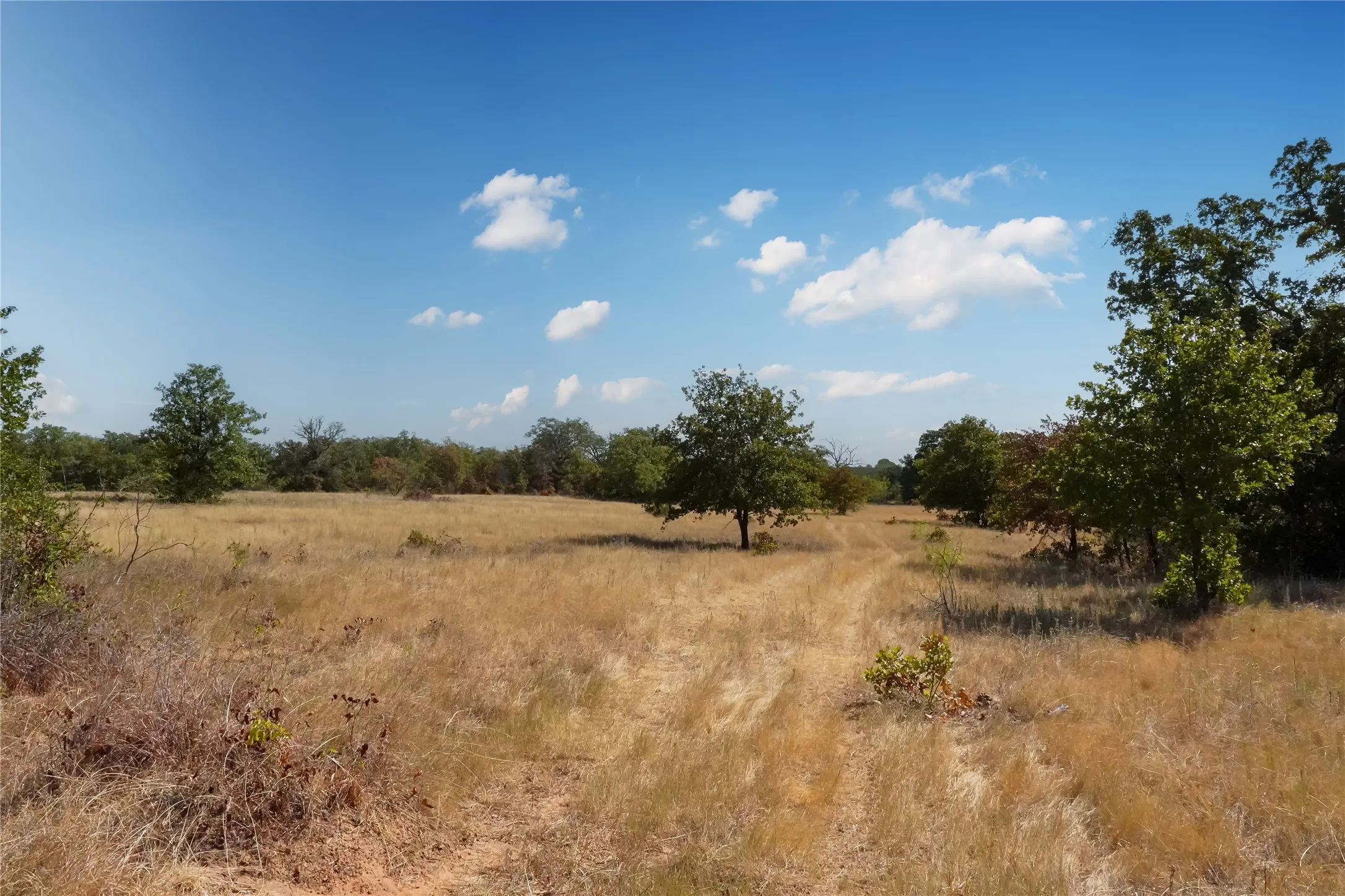 Ranch For Sale in Jack County , TBD Two Bush Road Road, Perrin, Texas 76486, 0, 0, Garage spaces, 0 Sqft, built in 0, mls#21383364, Real Estate Agent in Perrin, Homes For Sale in Jack county, Homes For Sale in Perrin, Realtor in Perrin Texas, Real Estate Brokerage Independent Realty Texas, Luminita Cordes Realtor