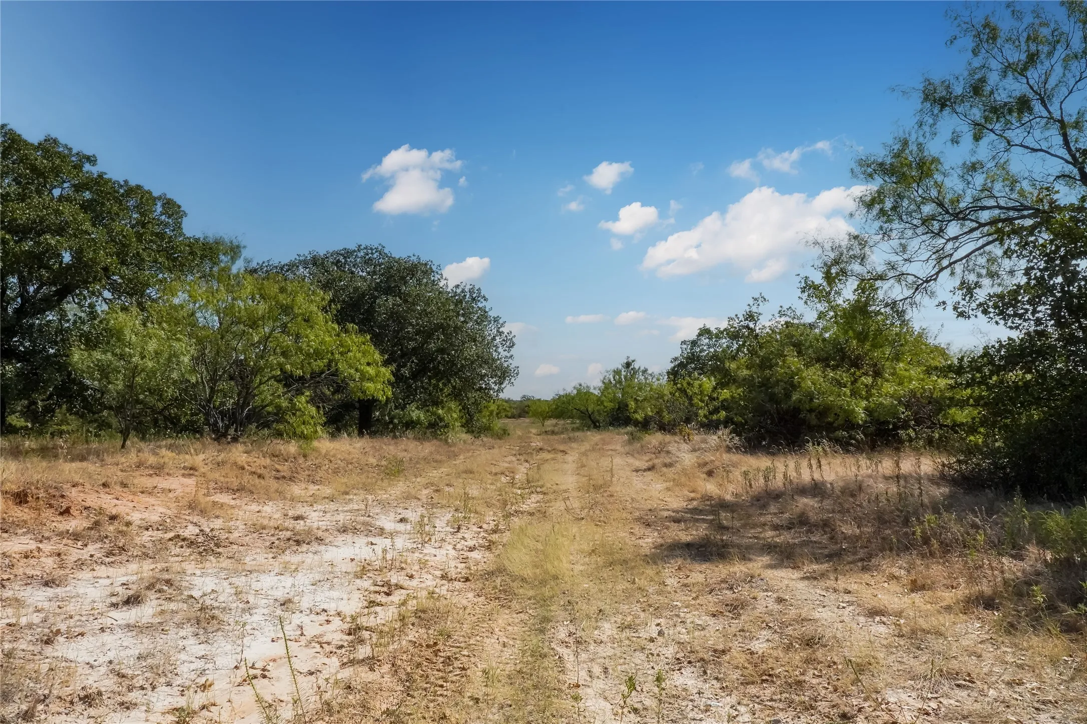 Ranch For Sale in Jack County , TBD Two Bush Road Road, Perrin, Texas 76486, 0, 0, Garage spaces, 0 Sqft, built in 0, mls#21383364, Real Estate Agent in Perrin, Homes For Sale in Jack county, Homes For Sale in Perrin, Realtor in Perrin Texas, Real Estate Brokerage Independent Realty Texas, Luminita Cordes Realtor