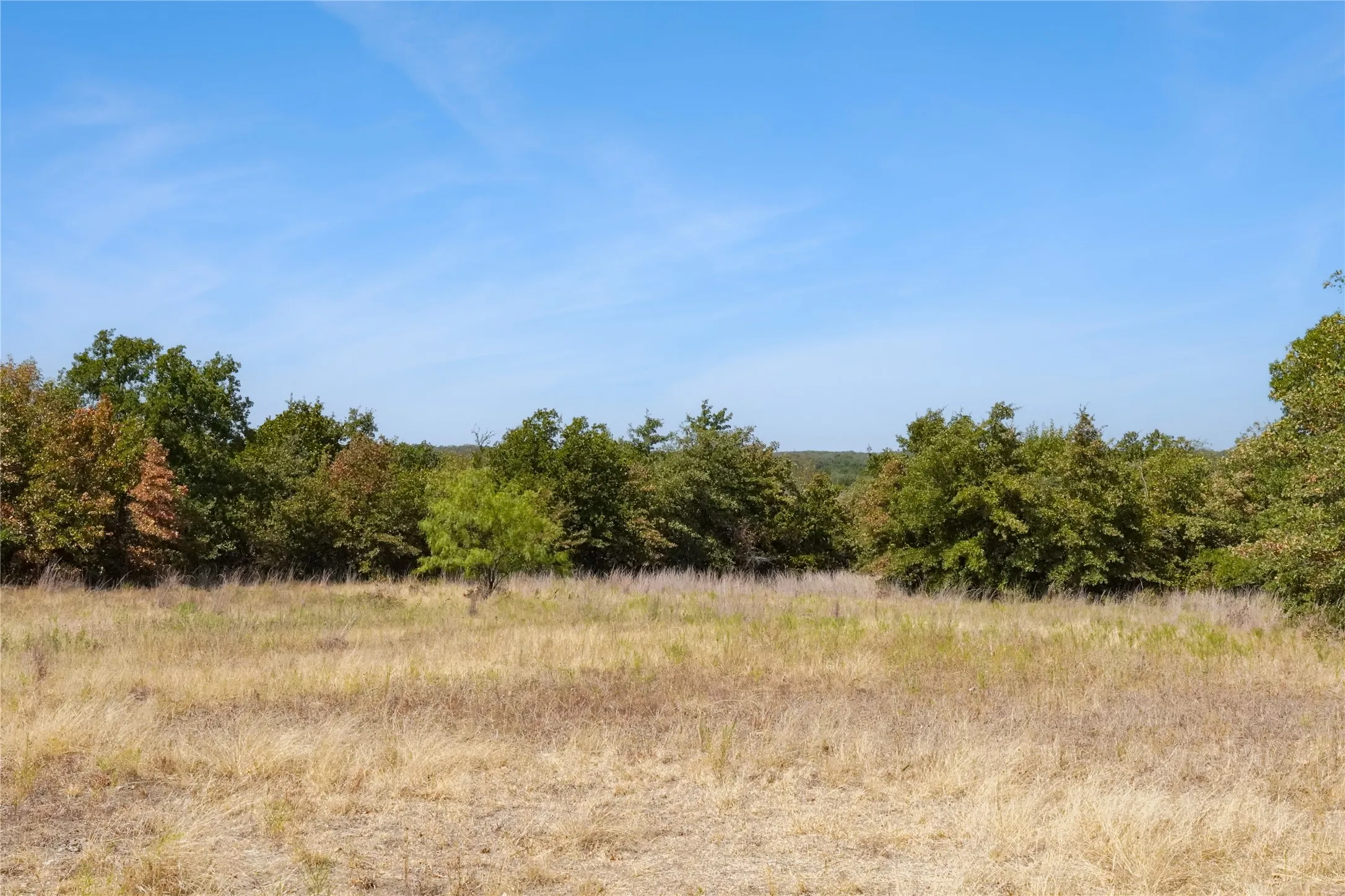 Ranch For Sale in Jack County , TBD Two Bush Road Road, Perrin, Texas 76486, 0, 0, Garage spaces, 0 Sqft, built in 0, mls#21383364, Real Estate Agent in Perrin, Homes For Sale in Jack county, Homes For Sale in Perrin, Realtor in Perrin Texas, Real Estate Brokerage Independent Realty Texas, Luminita Cordes Realtor