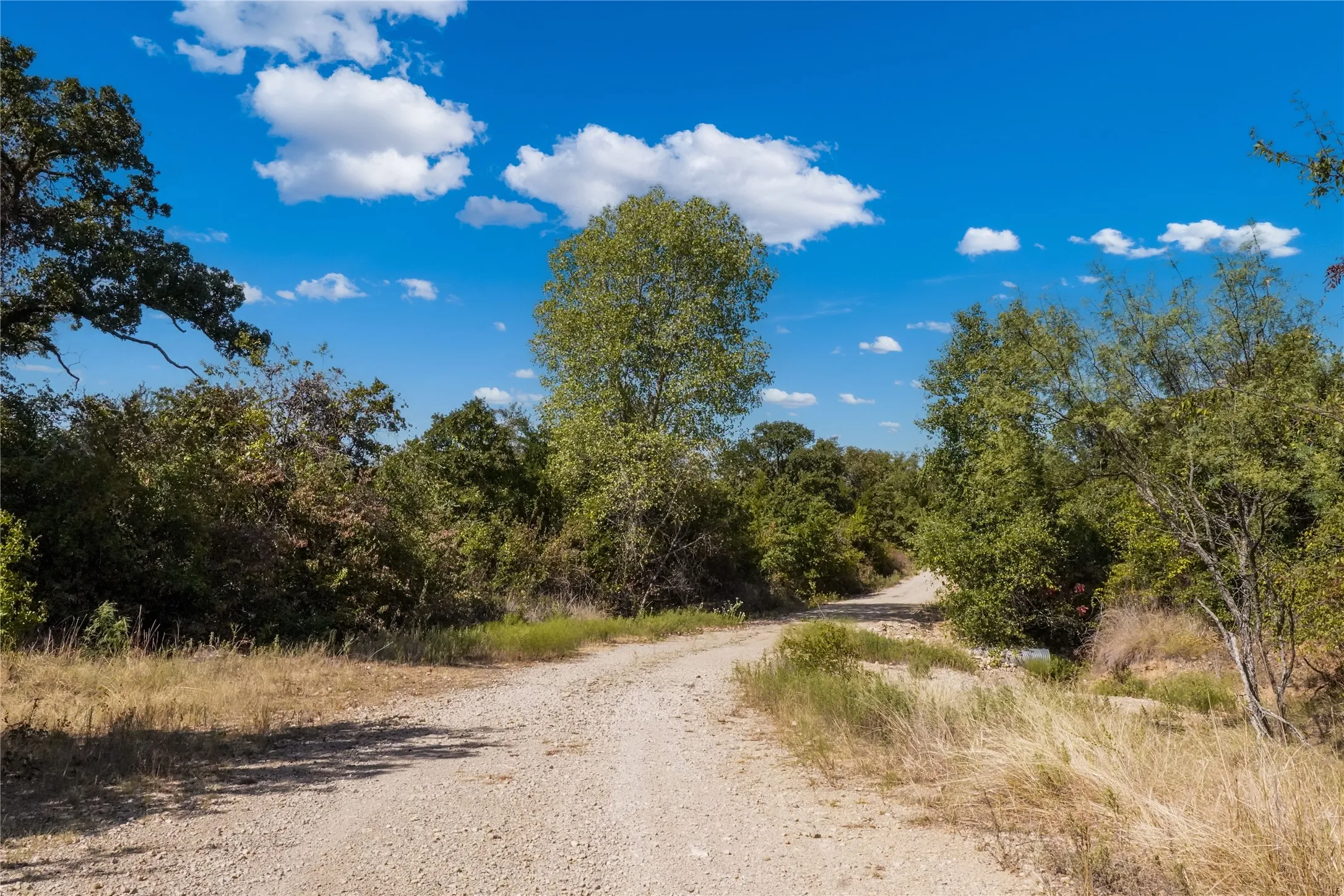 Ranch For Sale in Jack County , TBD Two Bush Road Road, Perrin, Texas 76486, 0, 0, Garage spaces, 0 Sqft, built in 0, mls#21383364, Real Estate Agent in Perrin, Homes For Sale in Jack county, Homes For Sale in Perrin, Realtor in Perrin Texas, Real Estate Brokerage Independent Realty Texas, Luminita Cordes Realtor