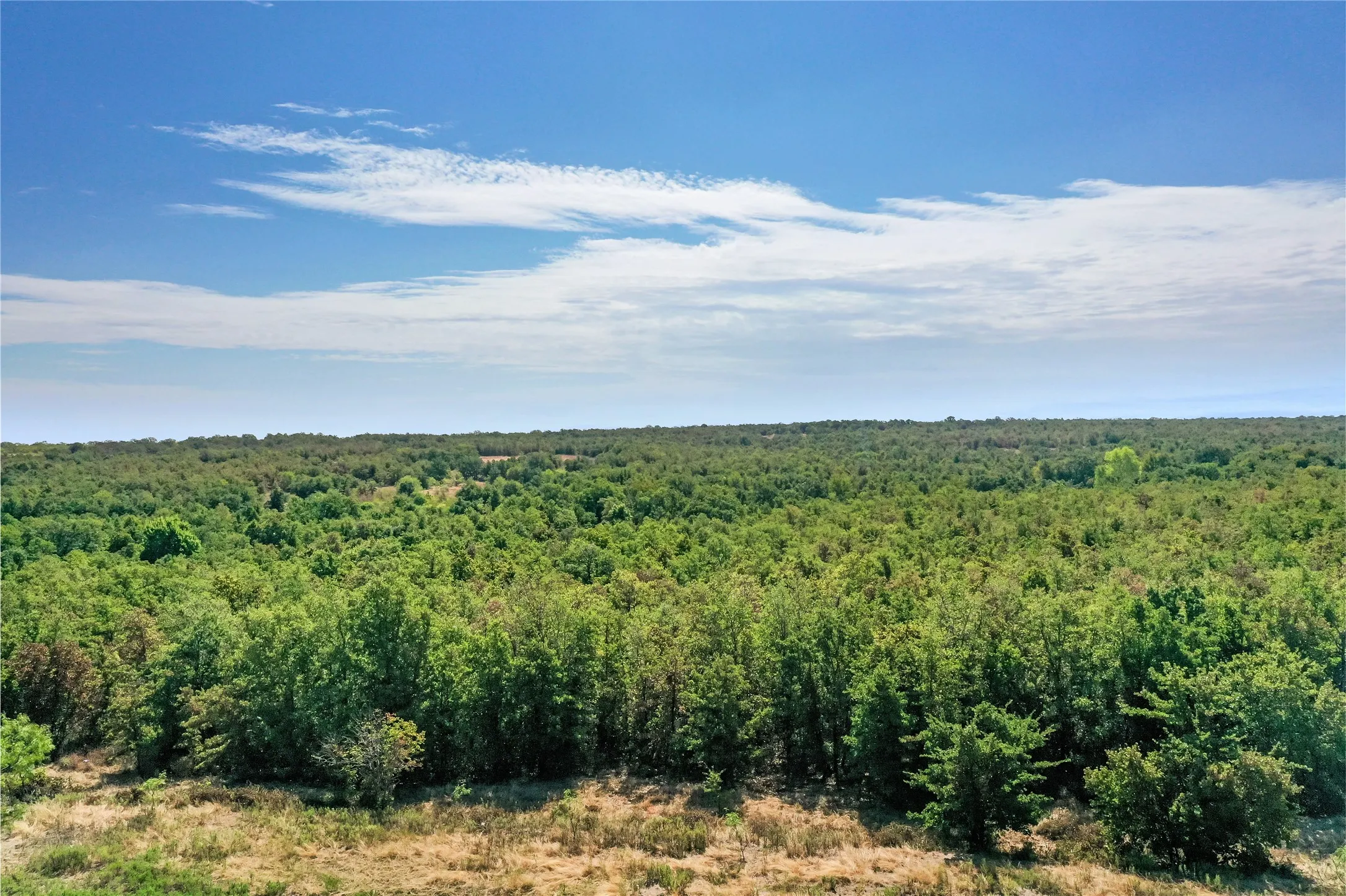 Ranch For Sale in Jack County , TBD Two Bush Road Road, Perrin, Texas 76486, 0, 0, Garage spaces, 0 Sqft, built in 0, mls#21383364, Real Estate Agent in Perrin, Homes For Sale in Jack county, Homes For Sale in Perrin, Realtor in Perrin Texas, Real Estate Brokerage Independent Realty Texas, Luminita Cordes Realtor