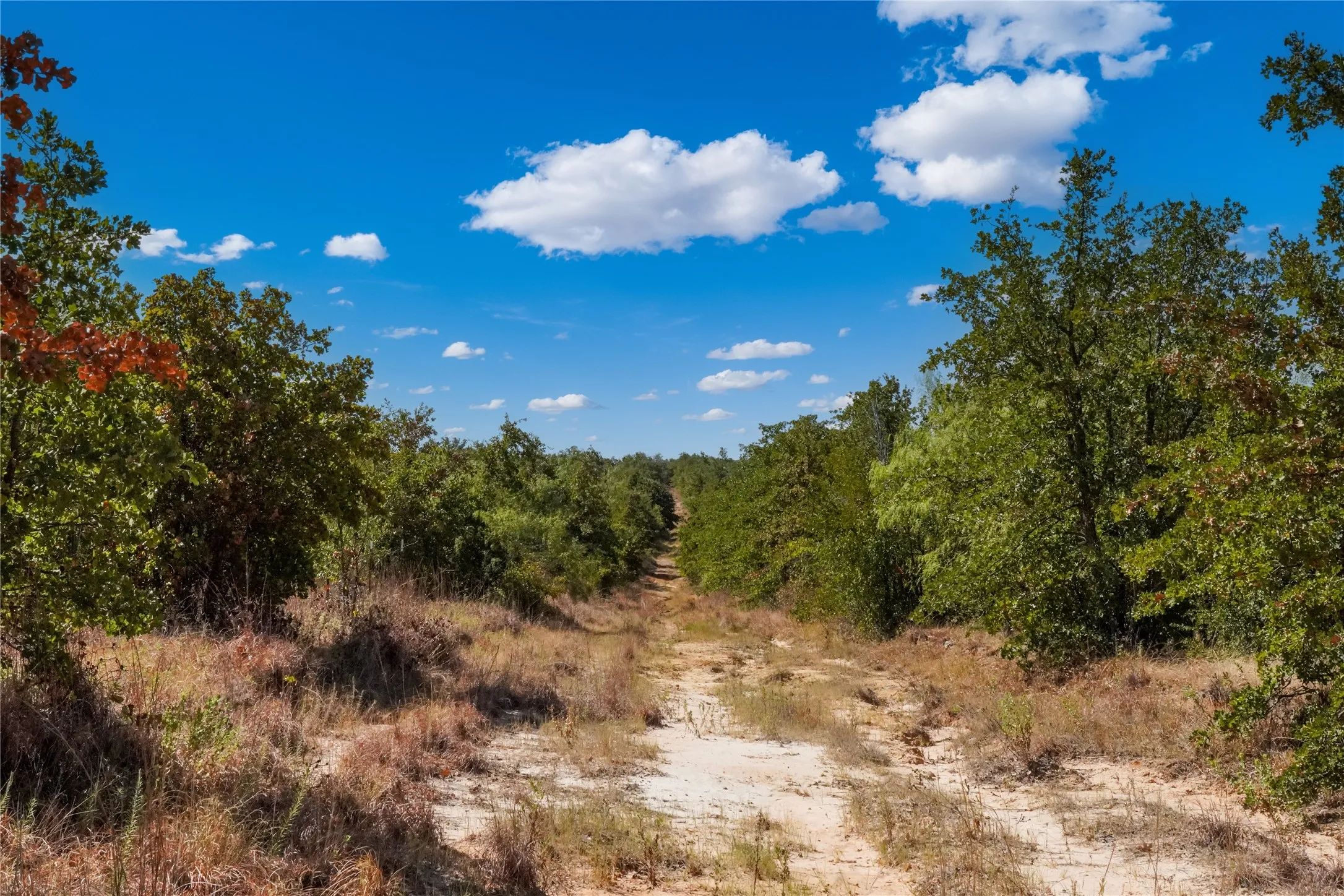 Ranch For Sale in Jack County , TBD Two Bush Road Road, Perrin, Texas 76486, 0, 0, Garage spaces, 0 Sqft, built in 0, mls#21383364, Real Estate Agent in Perrin, Homes For Sale in Jack county, Homes For Sale in Perrin, Realtor in Perrin Texas, Real Estate Brokerage Independent Realty Texas, Luminita Cordes Realtor