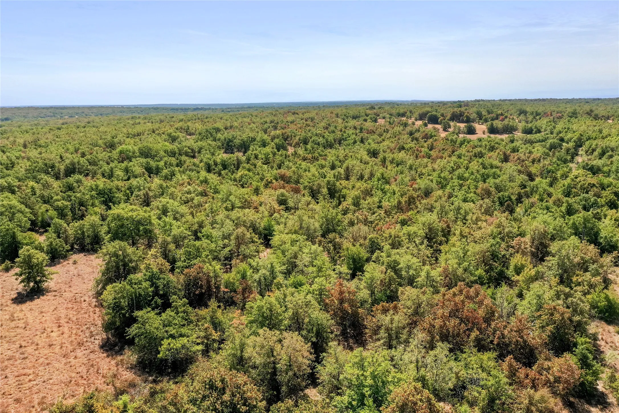 Ranch For Sale in Jack County , TBD Two Bush Road Road, Perrin, Texas 76486, 0, 0, Garage spaces, 0 Sqft, built in 0, mls#21383364, Real Estate Agent in Perrin, Homes For Sale in Jack county, Homes For Sale in Perrin, Realtor in Perrin Texas, Real Estate Brokerage Independent Realty Texas, Luminita Cordes Realtor